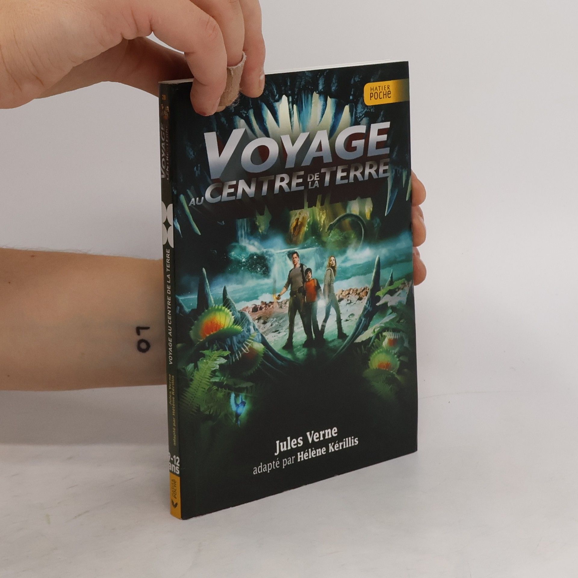 Jules Verne Voyage au centre de la Terre