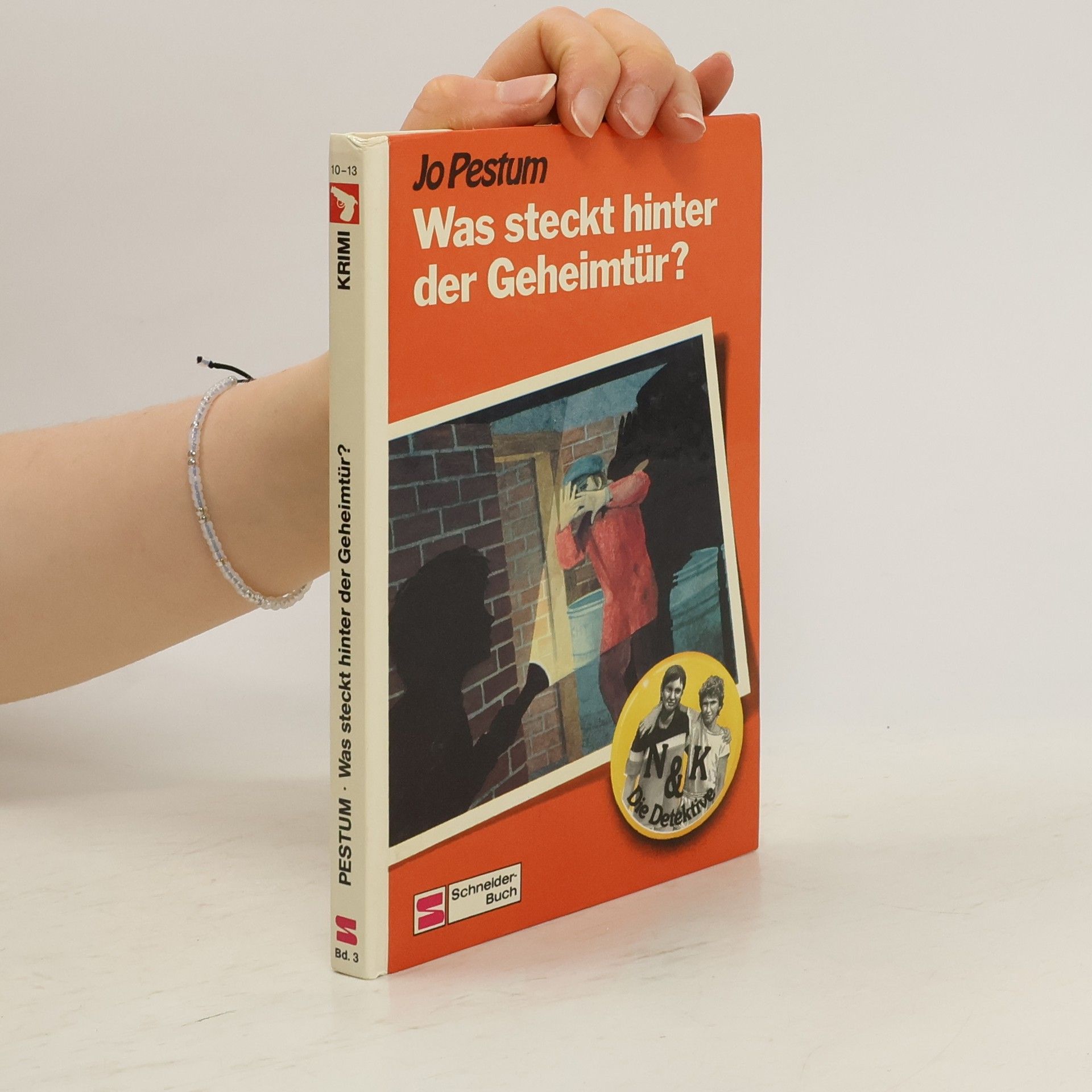 Jo Pestum Was steckt hinter der Geheimtür?
