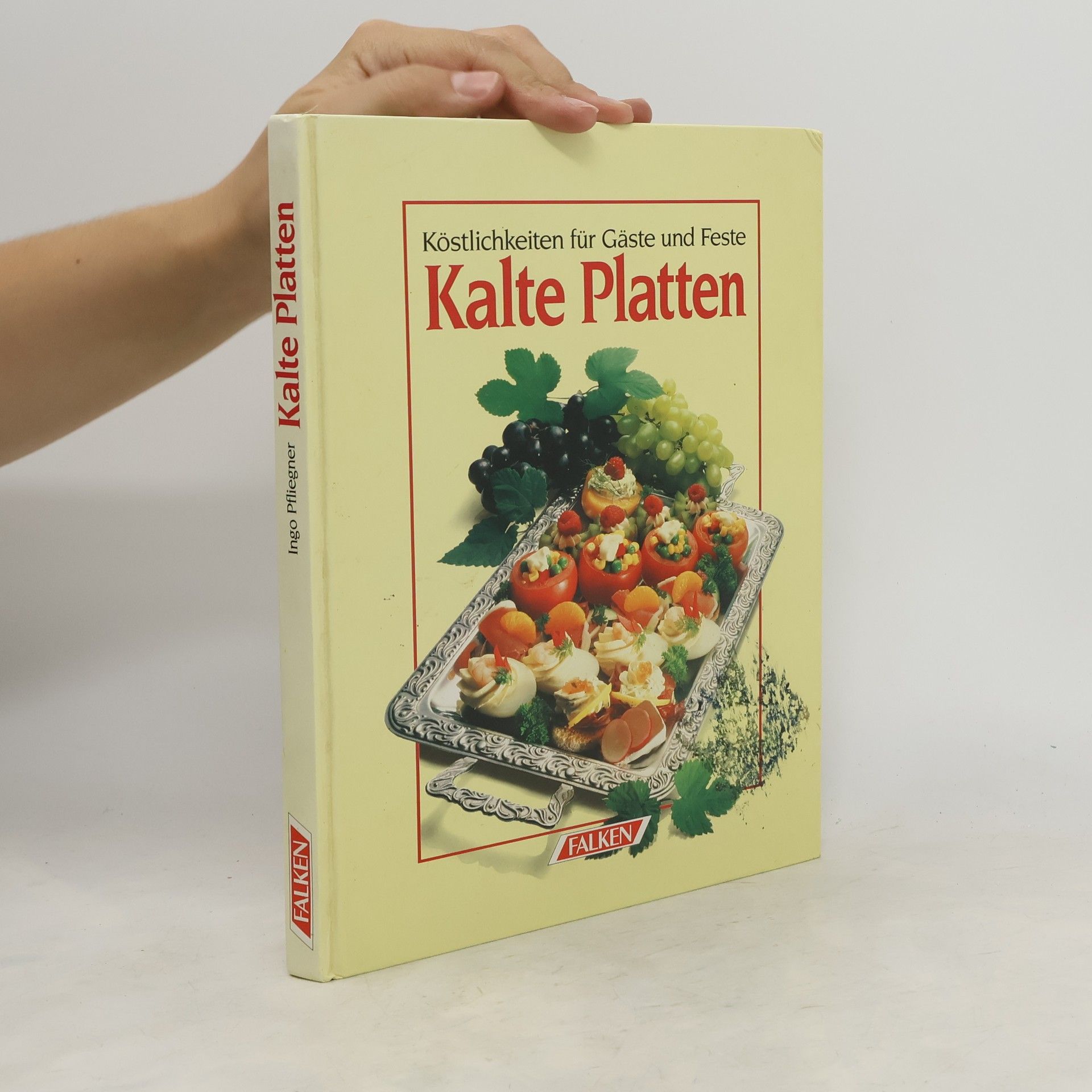 Ingo Pfliegner Kalte Platten