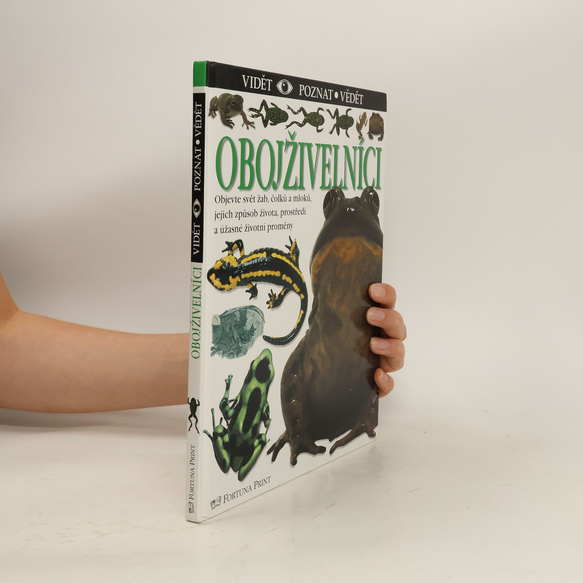 Barry Clarke Obojživelníci