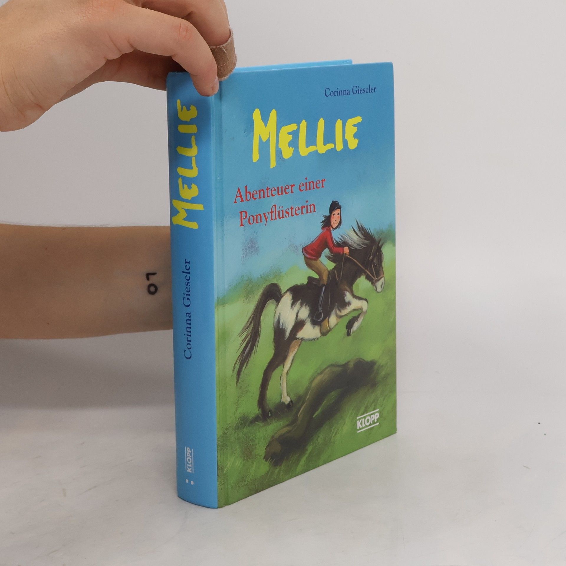 Corinna Gieseler Mellie, Abenteuer einer Ponyflüsterin
