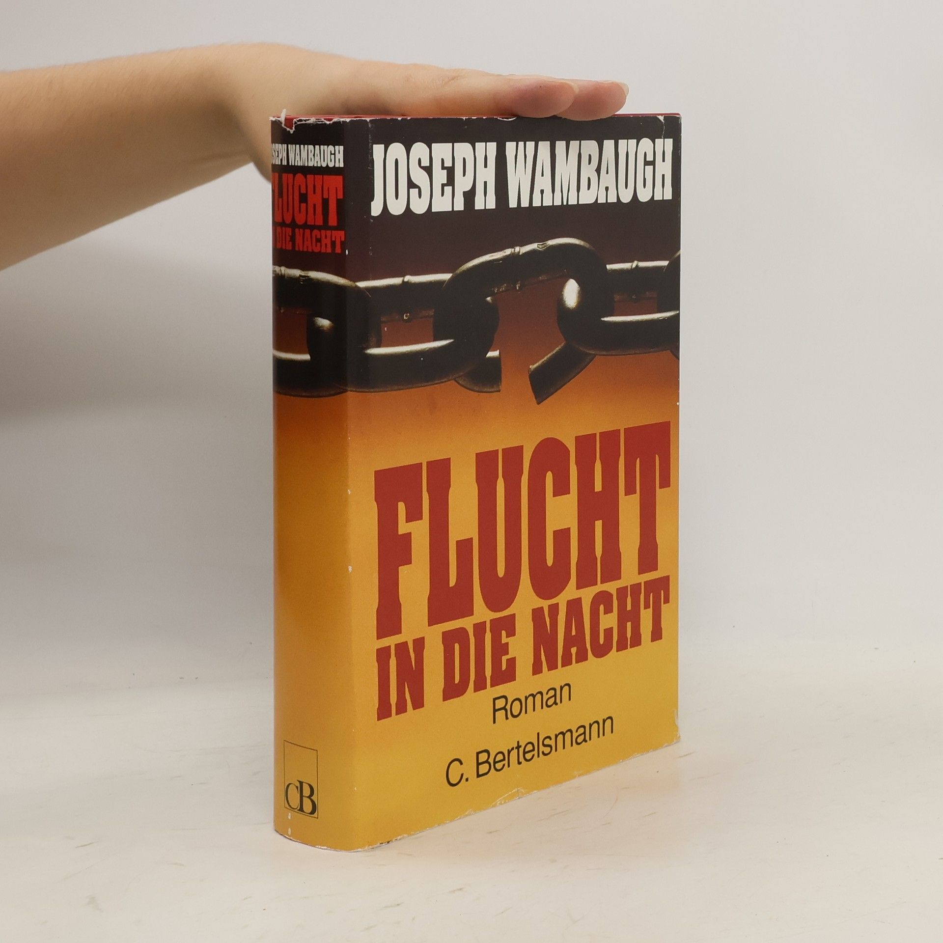 Joseph Wambaugh Flucht in die Nacht