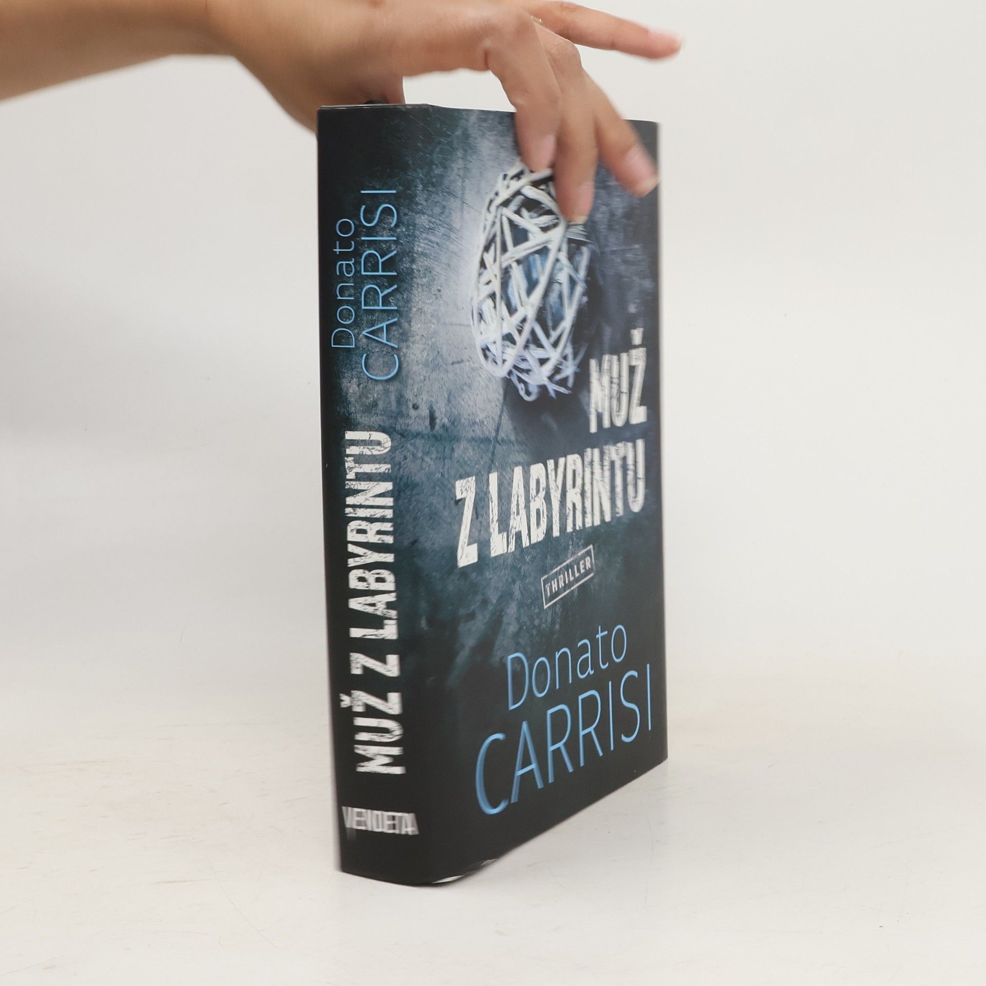 Donato Carrisi Muž v labyrintu