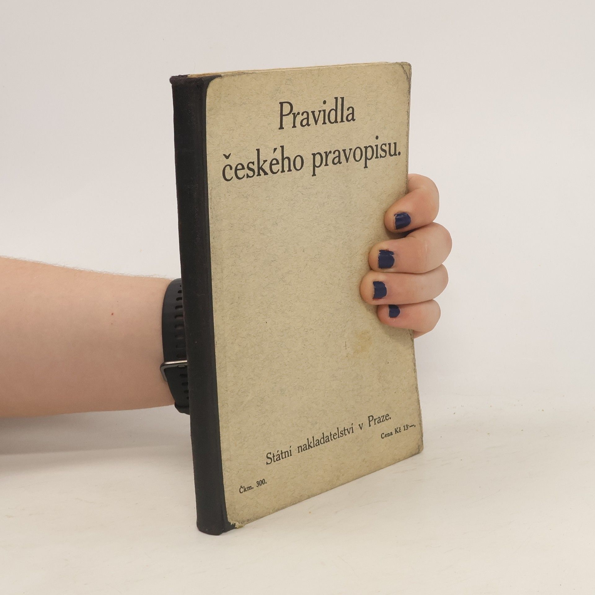 Autorenkollektiv Pravidla českého pravopisu s abecedním seznamem slov a tvarů