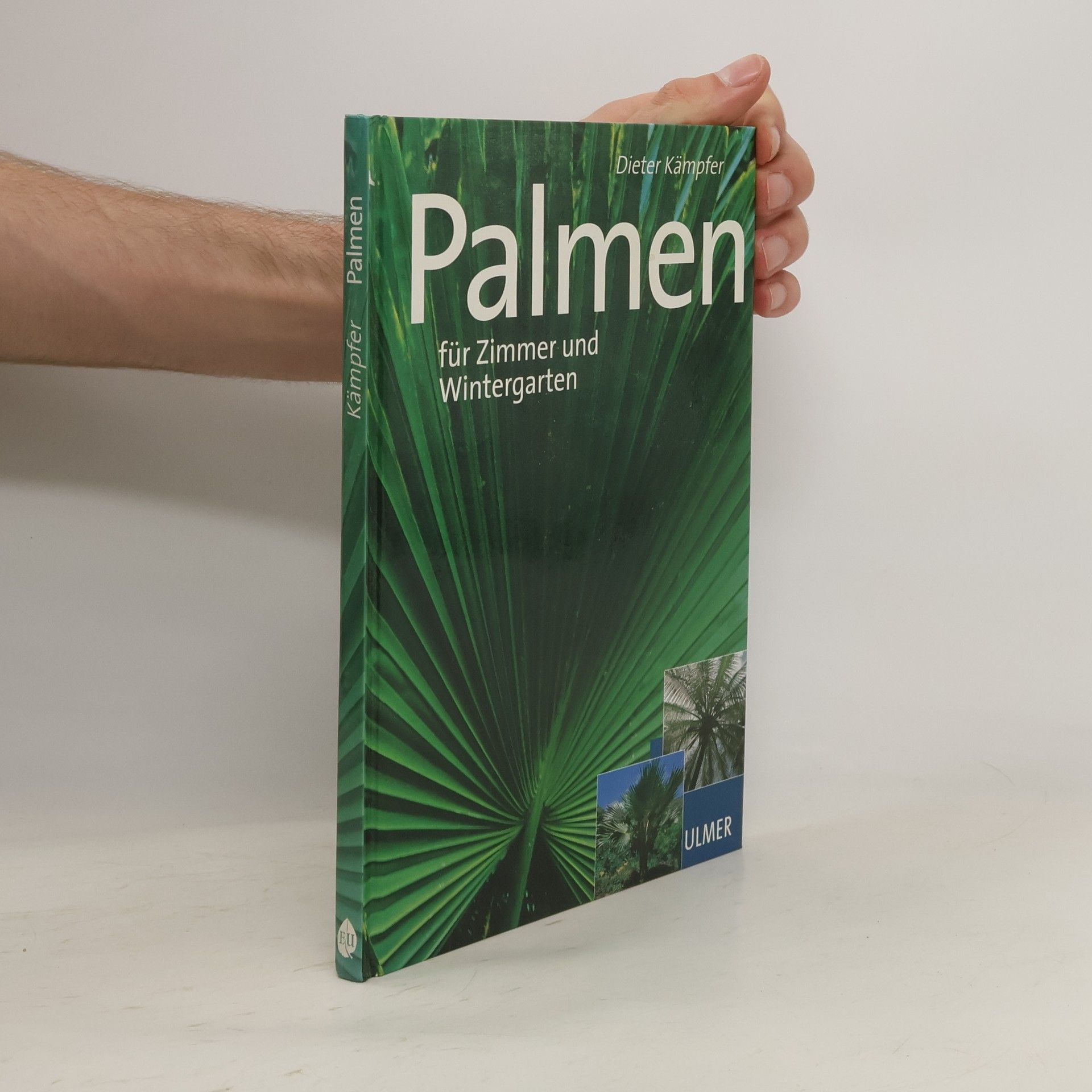 Dieter Kämpfer Schöne Palmen für Zimmer und Wintergarten