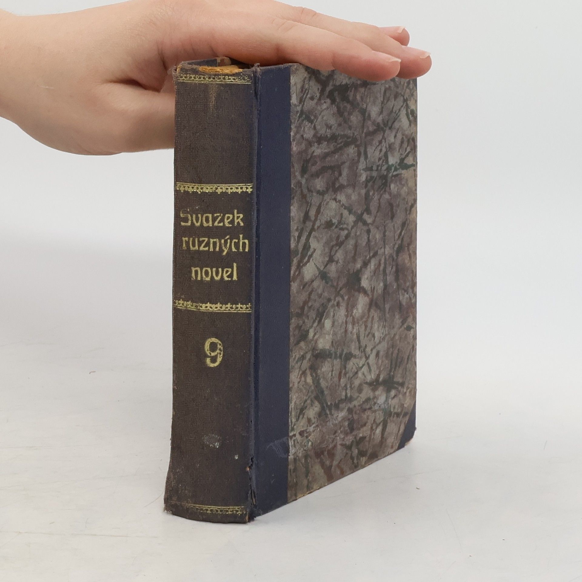 kolektiv Svazek různých novel 9