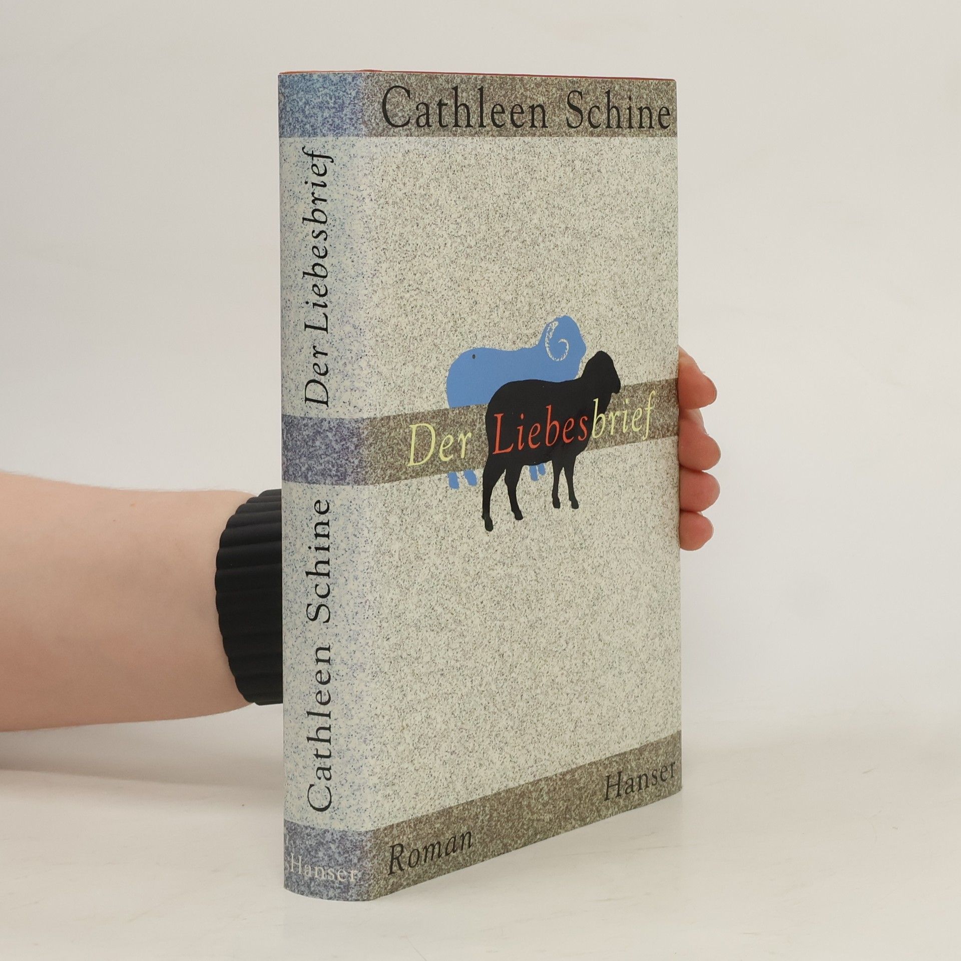 Cathleen Schine Der Liebesbrief