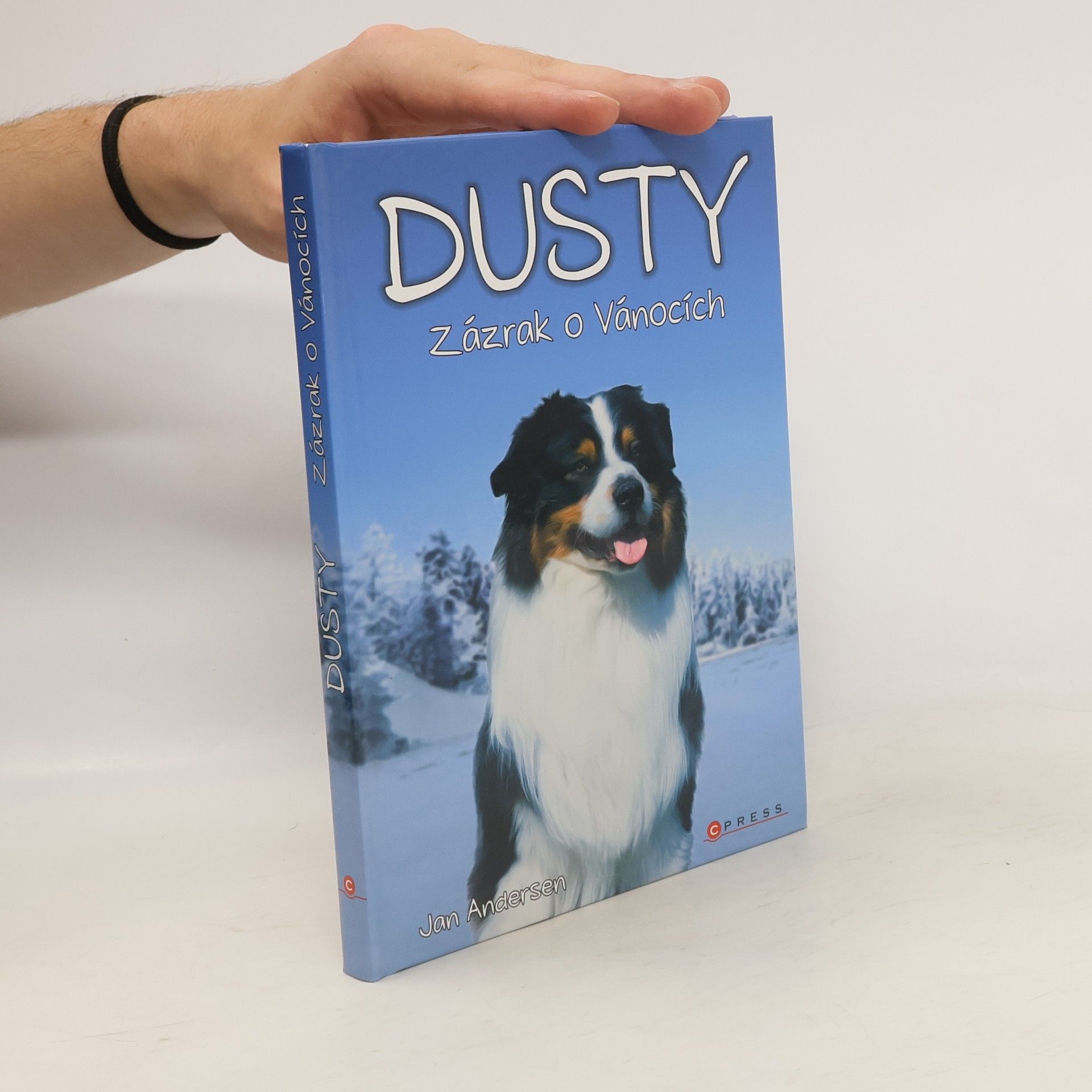 Wolfram Hänel Dusty: Zázrak o Vánocích