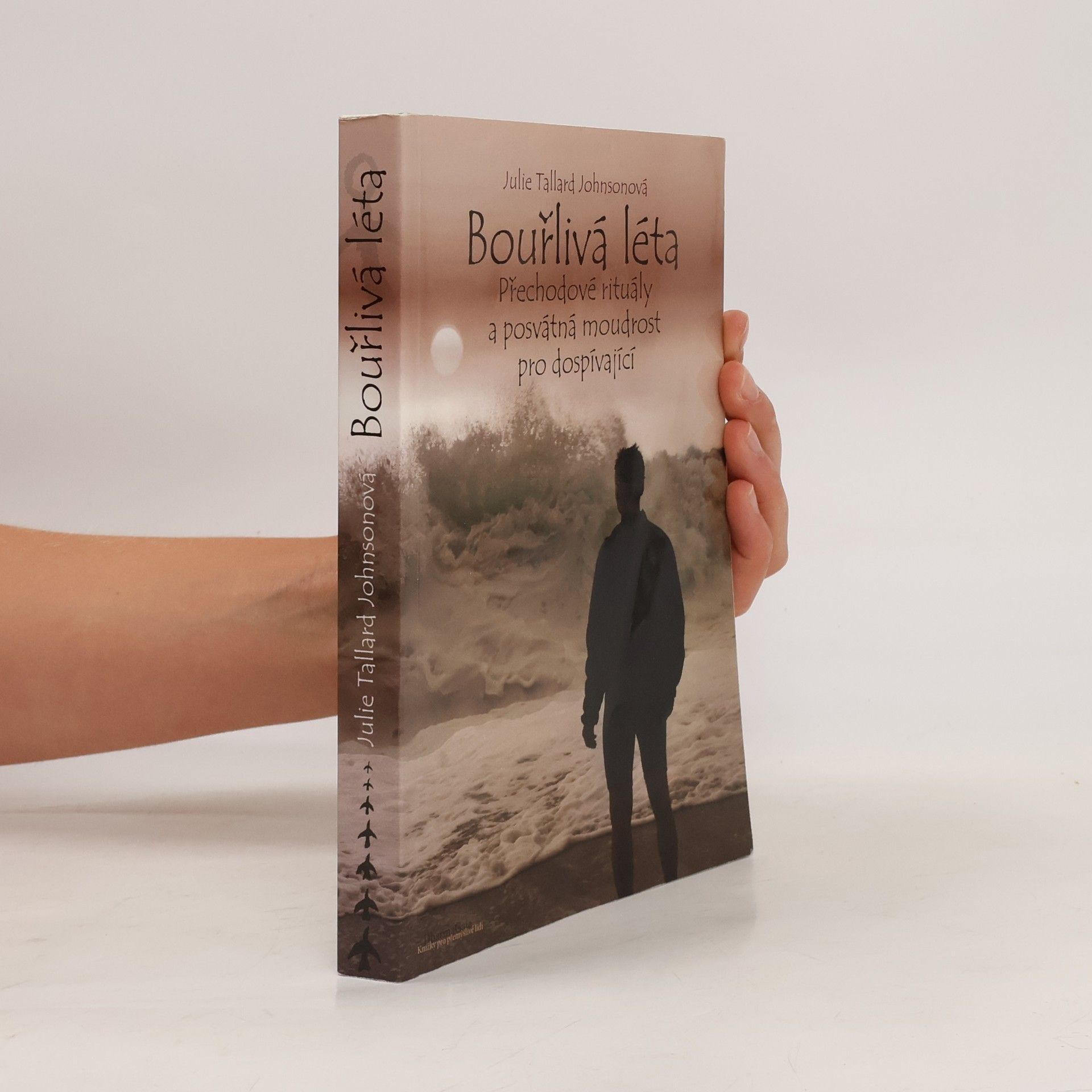 Julie Tallard Johnson Bouřlivá léta