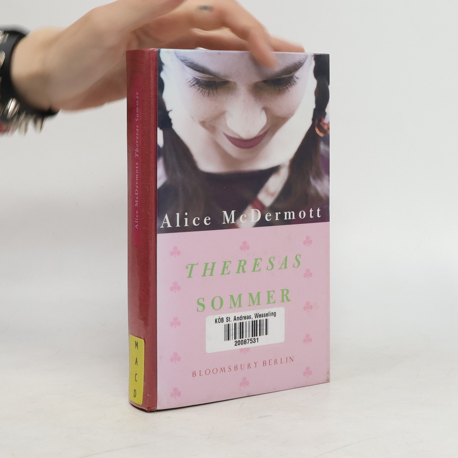 Alice McDermott Theresas Sommer