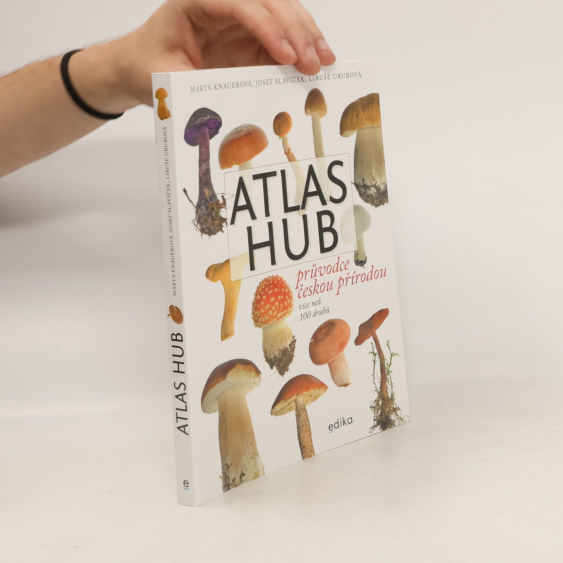 Marta Knauerová Atlas hub