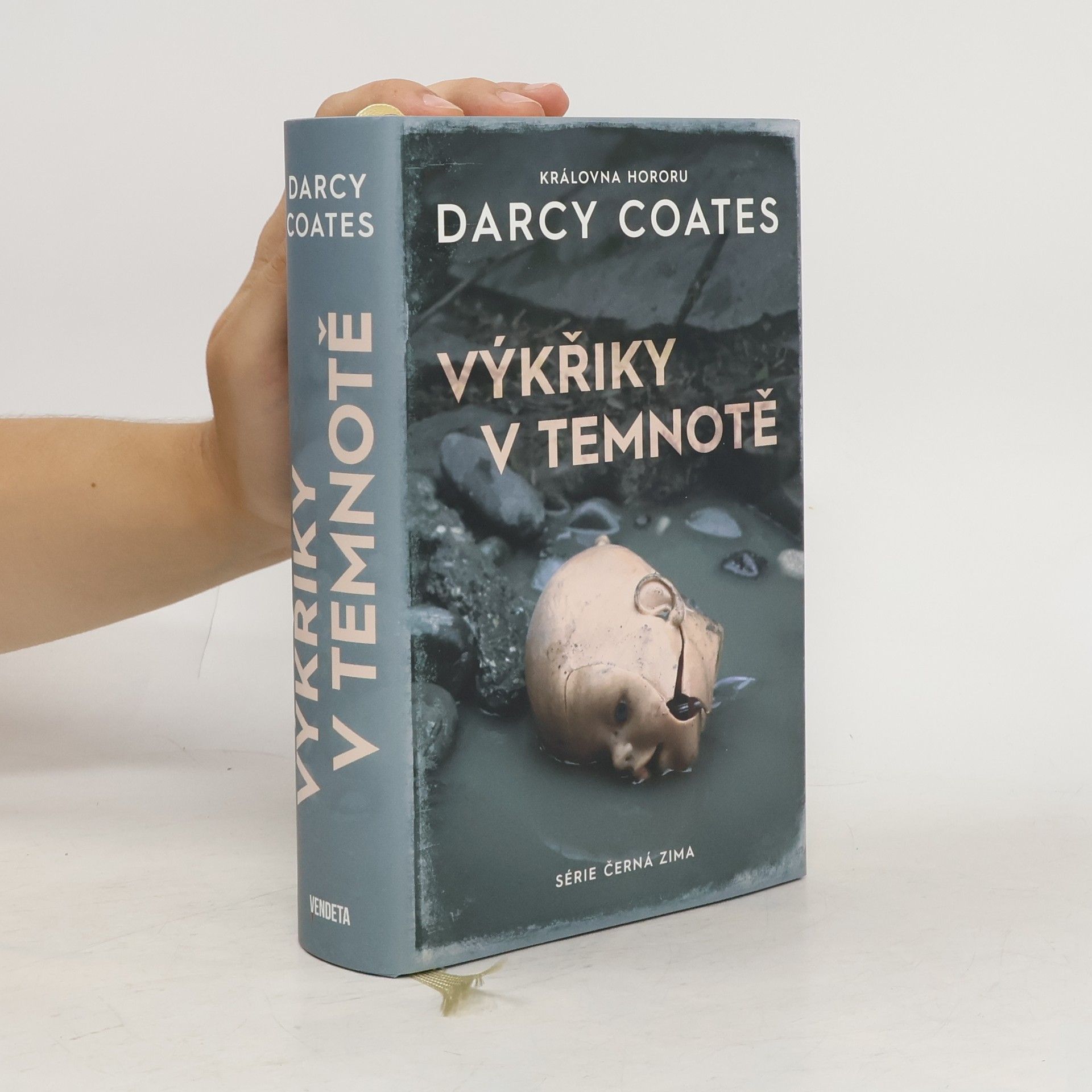Darcy Coates Výkřiky v temnotě