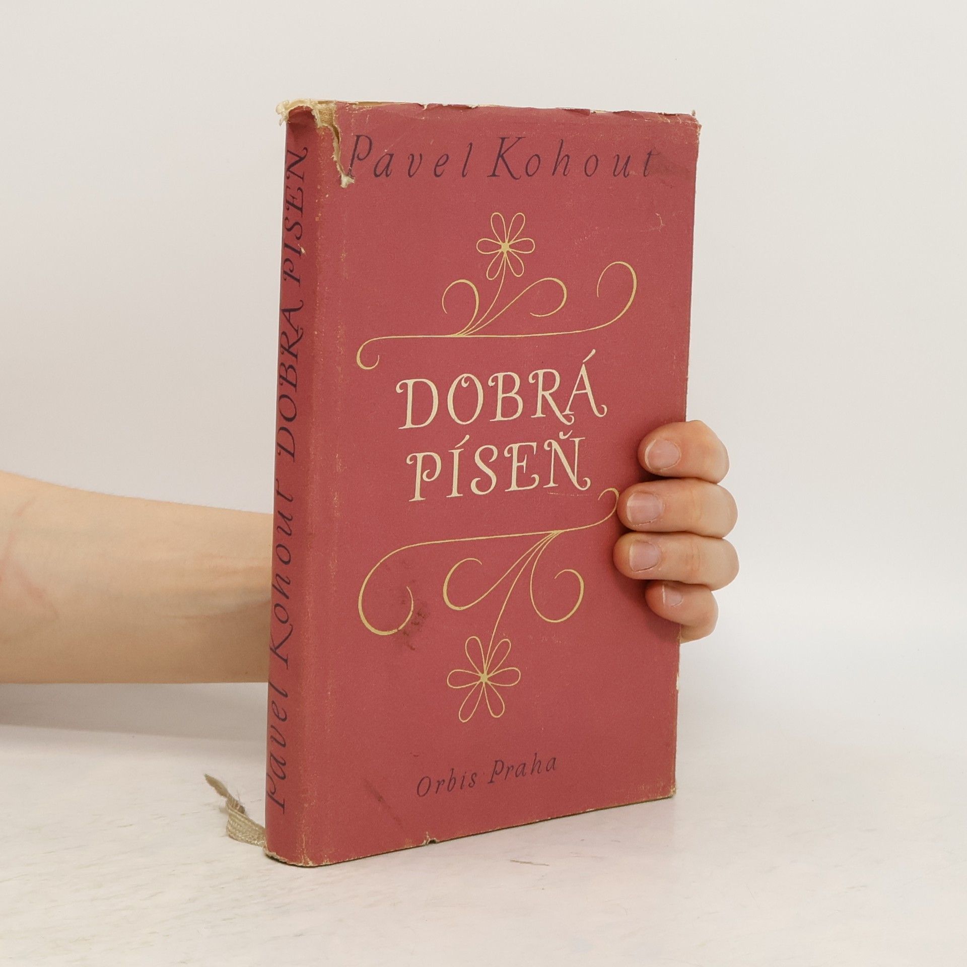 Pavel Kohout Dobrá píseň