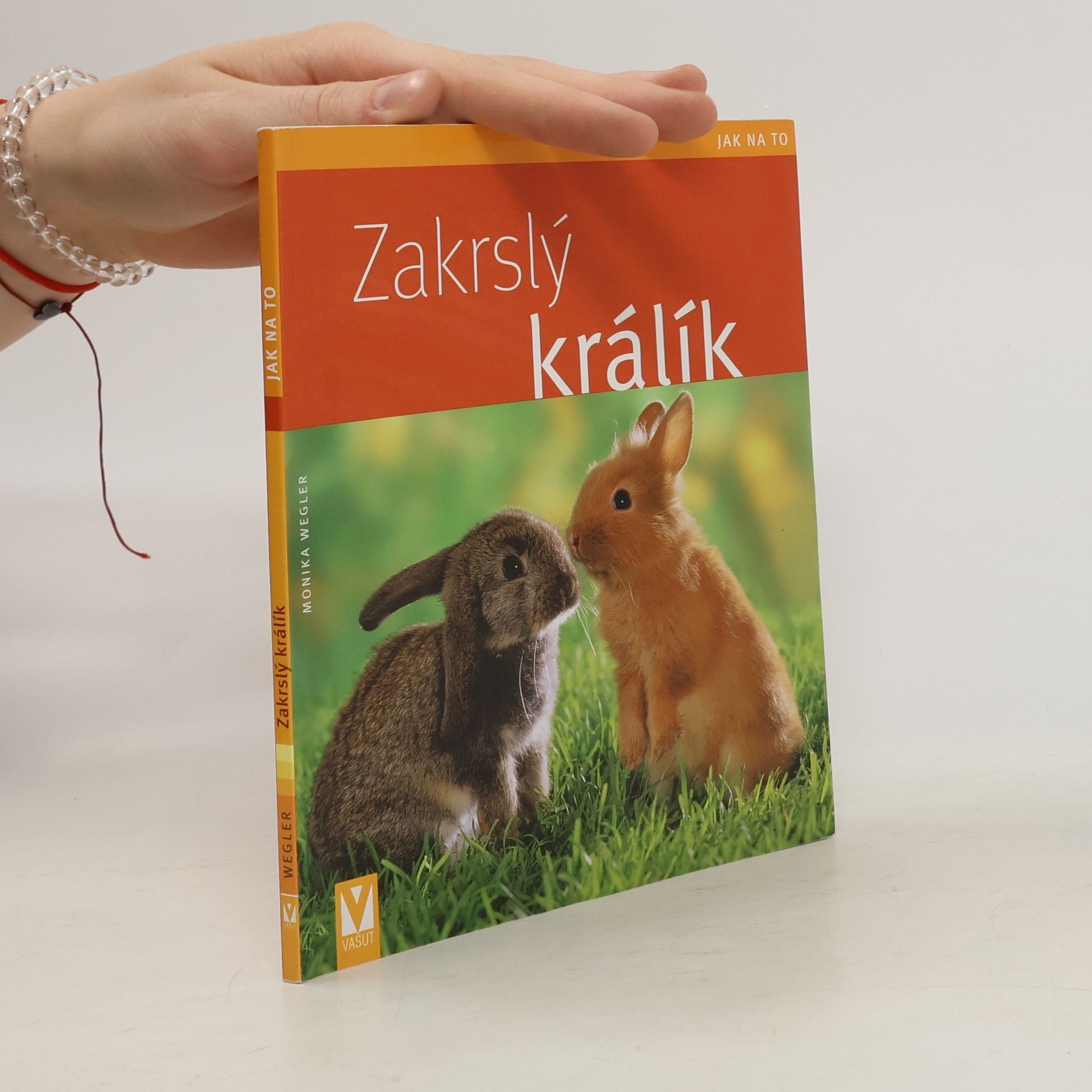 Monika Wegler Zakrslý králík