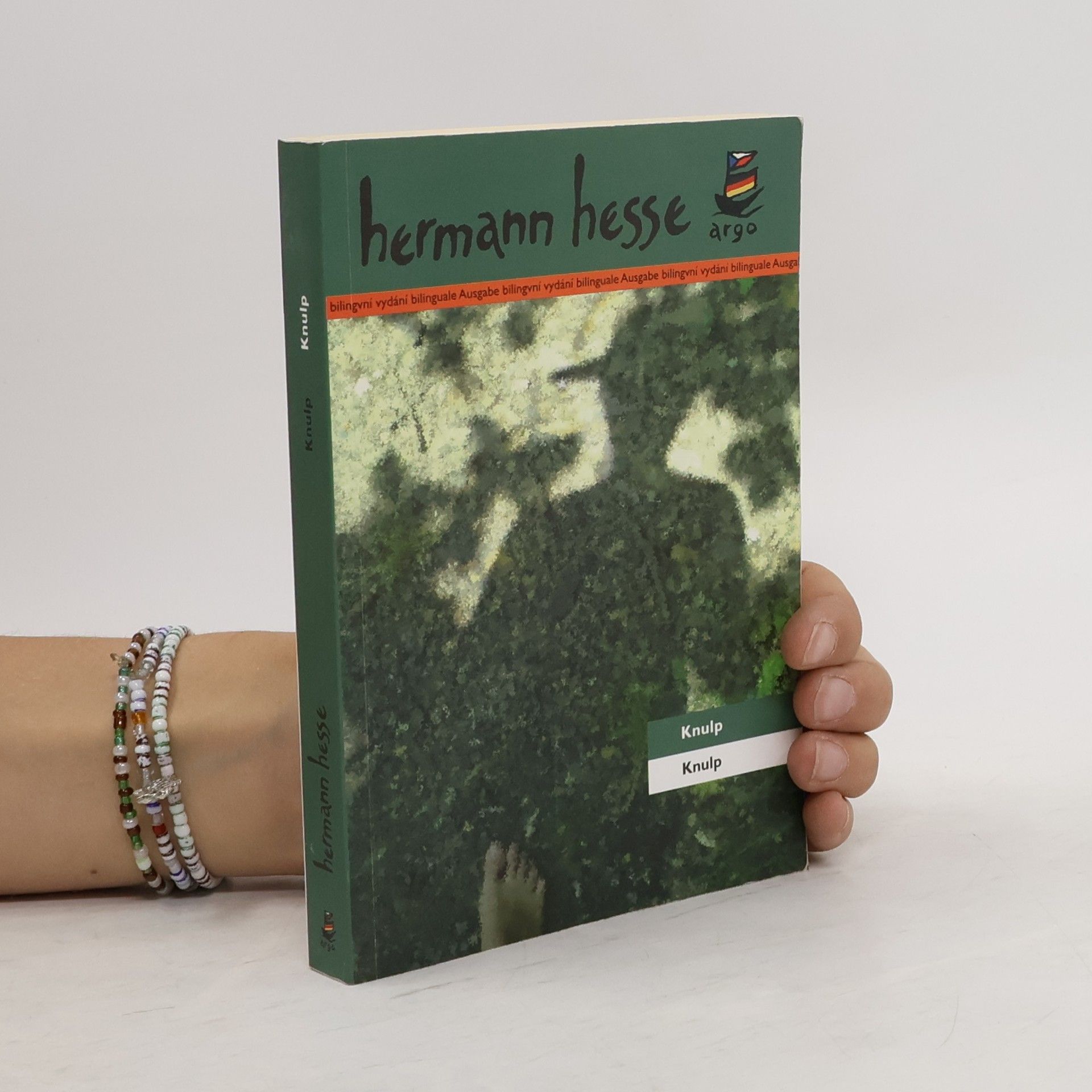 Hermann Hesse Knulp