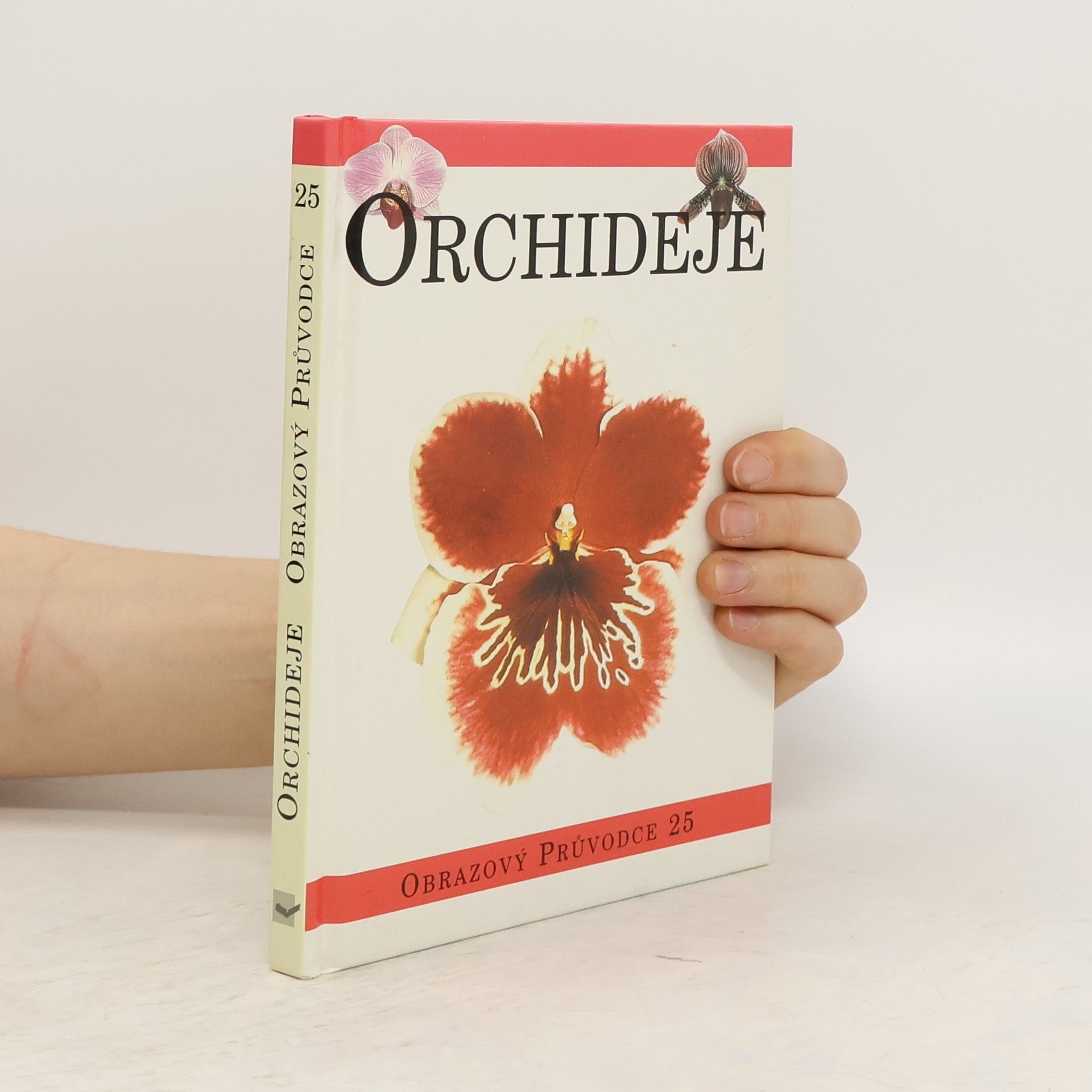 kolektiv Orchideje : praktický průvodce exotickým světem orchidejí