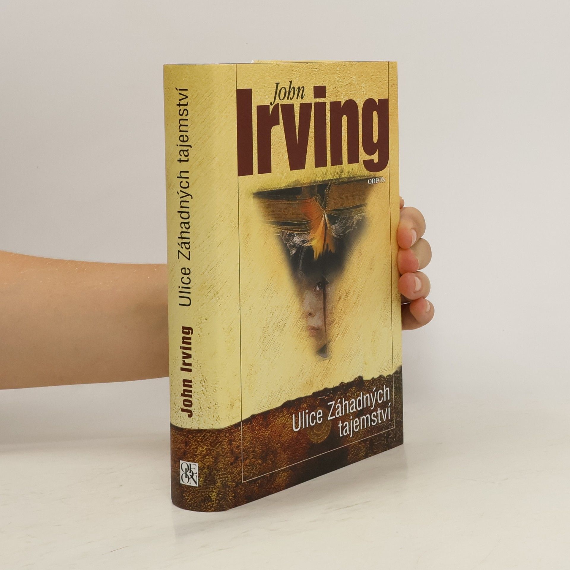 John Irving Ulice Záhadných tajemství