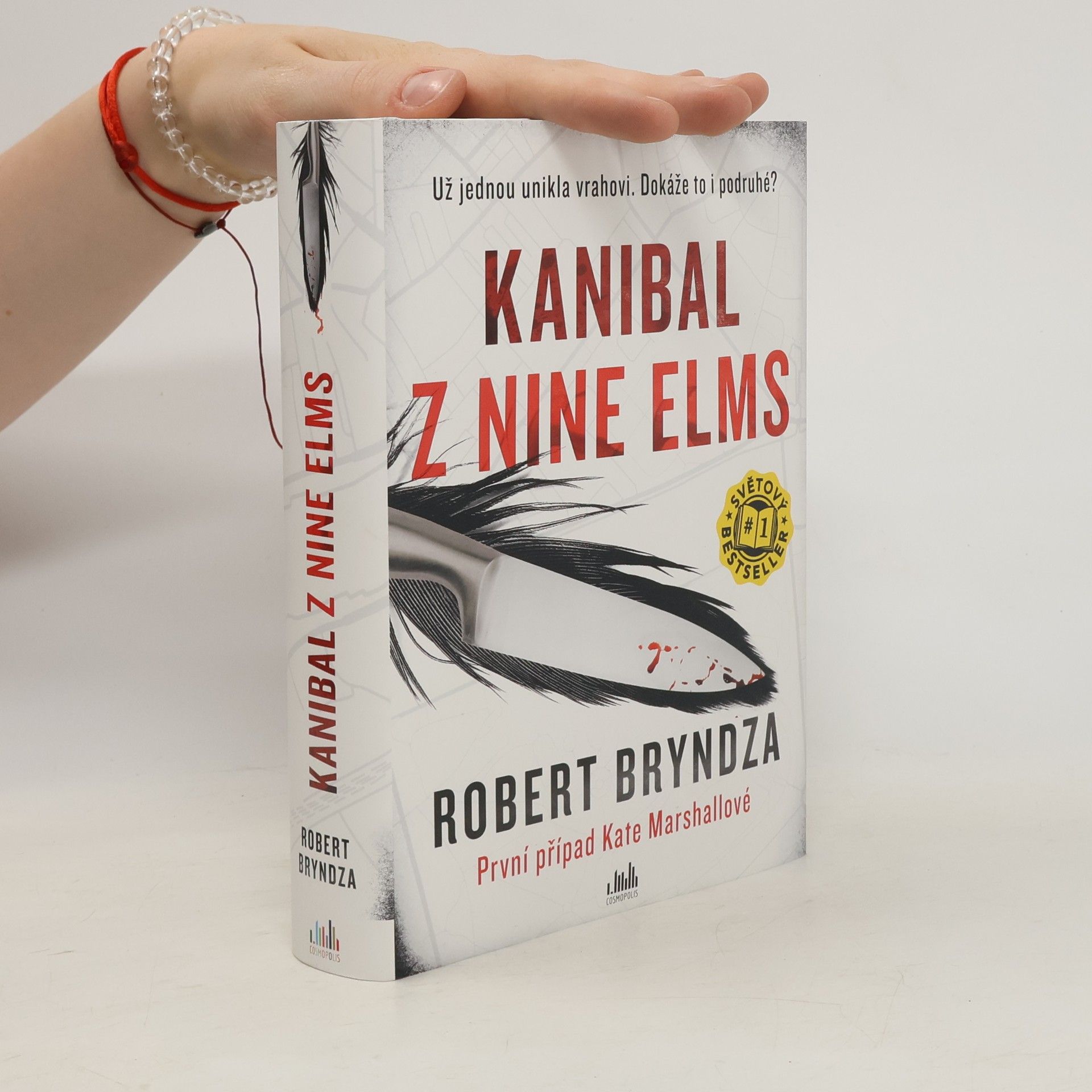 Robert Bryndza Kanibal z Nine Elms