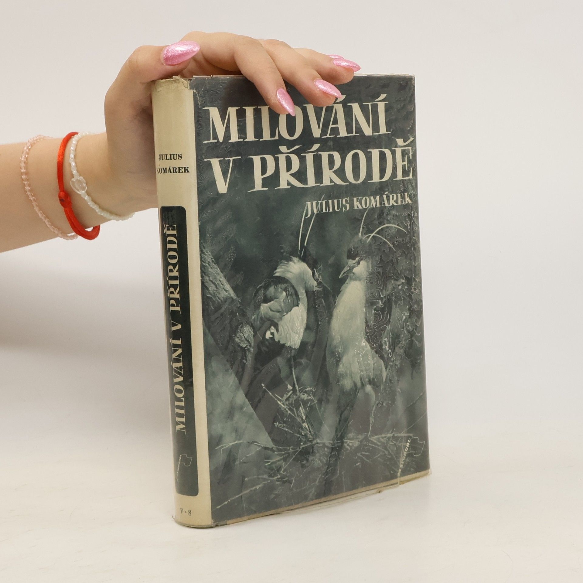 Julius Komárek Milování v přírodě