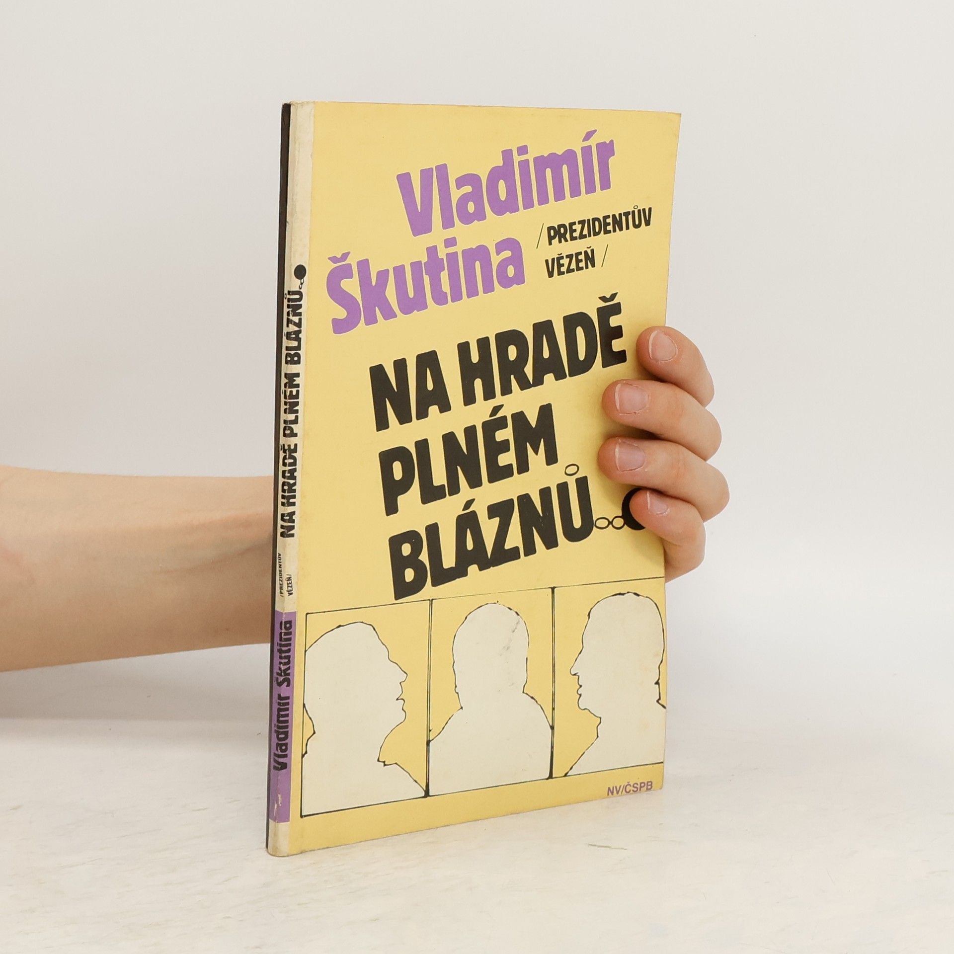 Vladimír Škutina Na hradě plném bláznů