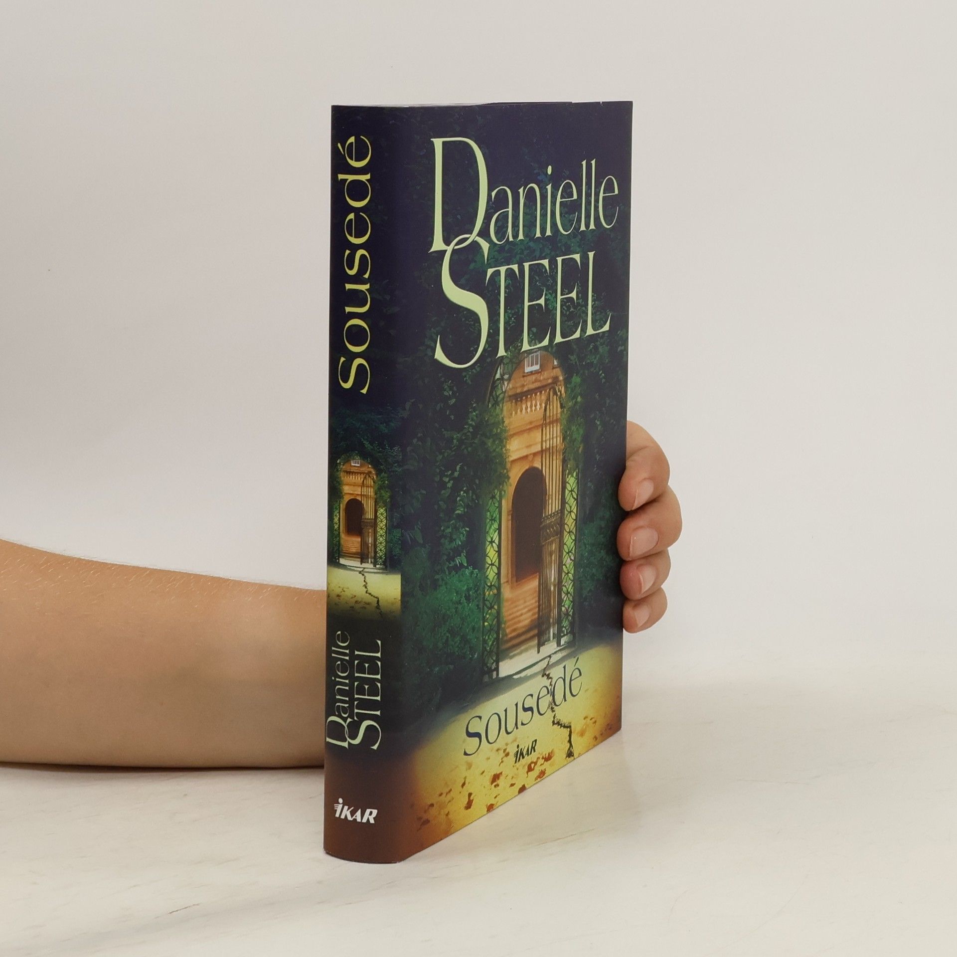 Danielle Steel Sousedé
