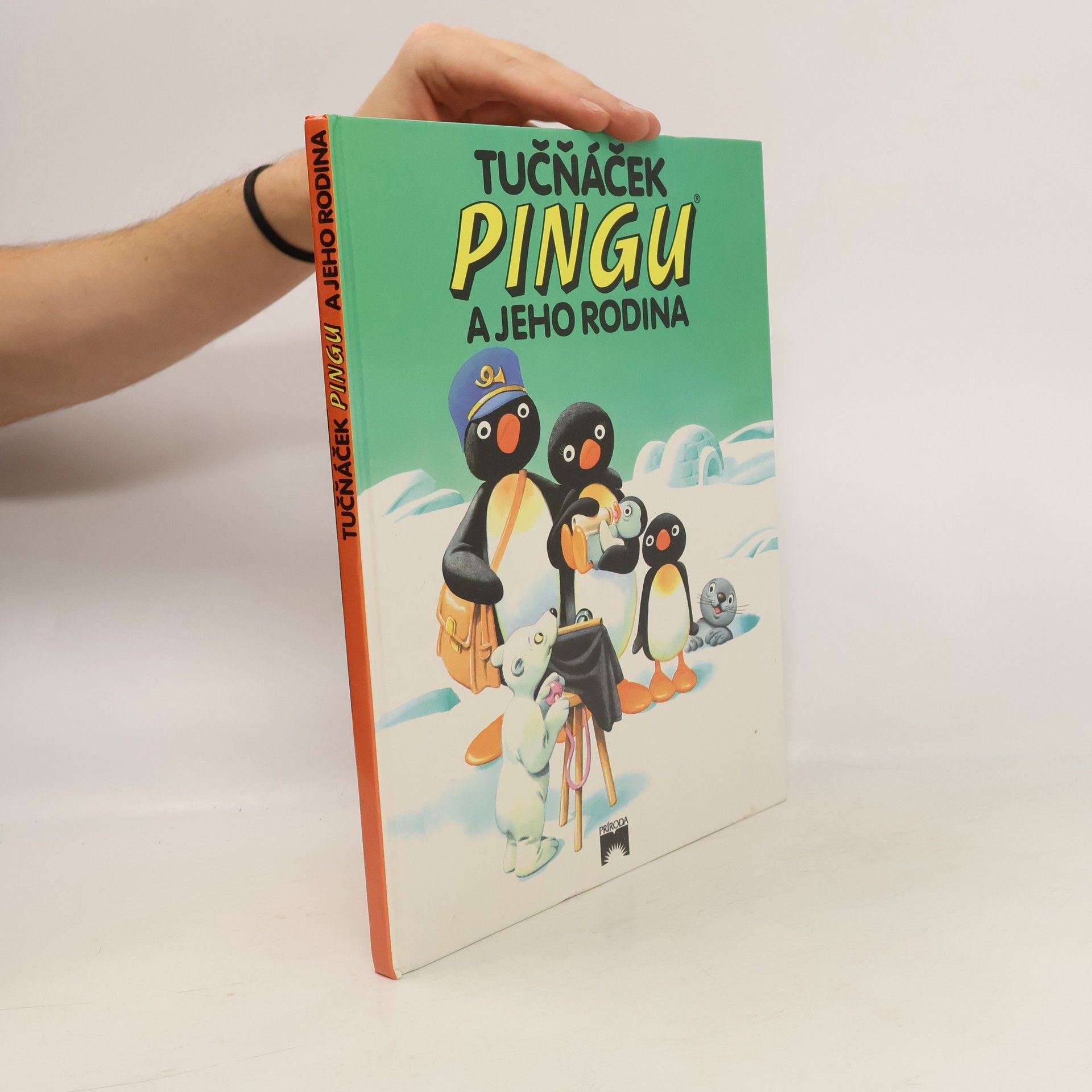 Sibylle Heer von Flüe Tučňáček Pingu a jeho rodina