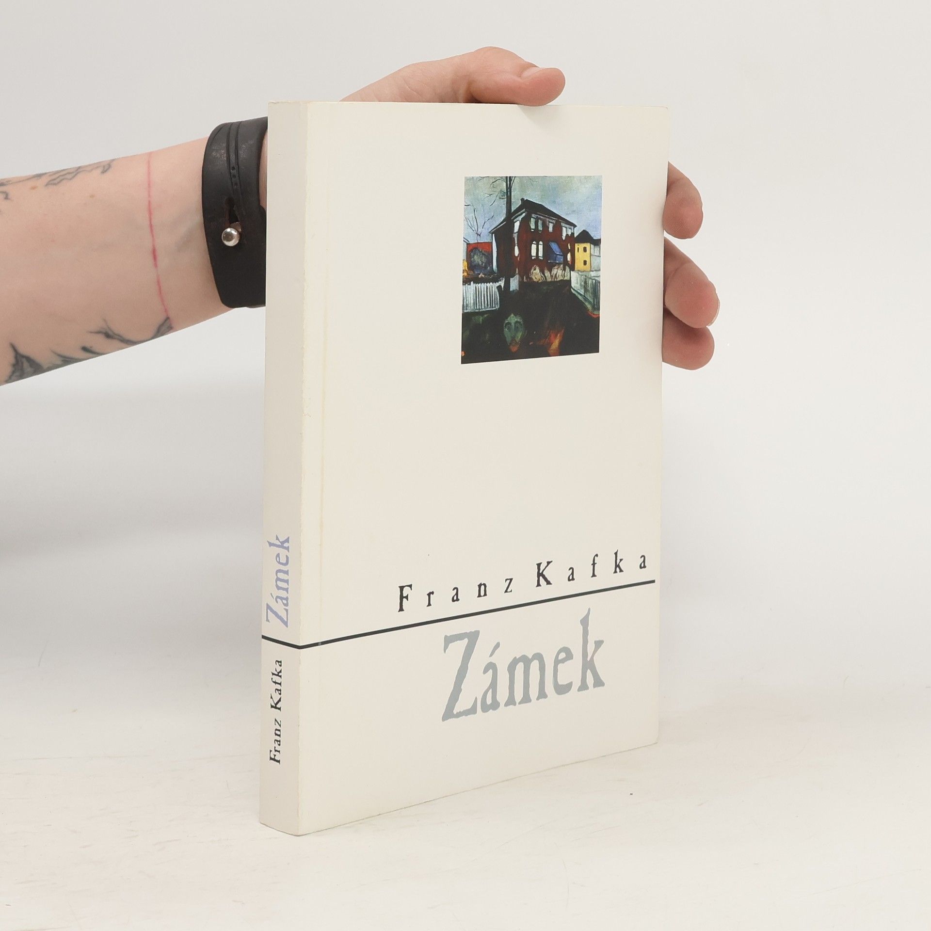 Franz Kafka Zámek