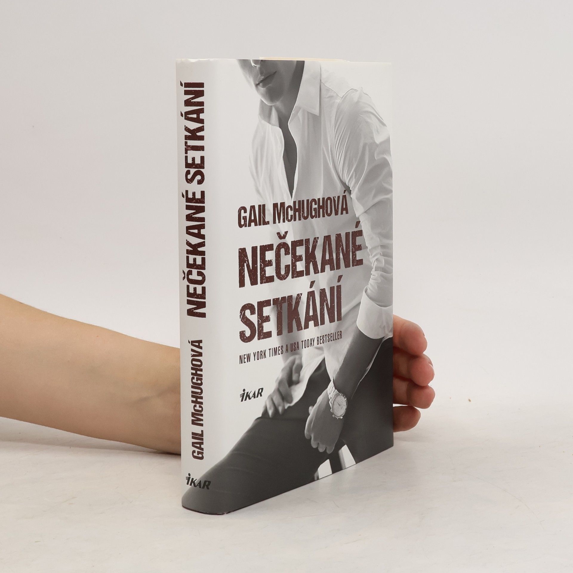 Gail McHugh Nečekané setkání