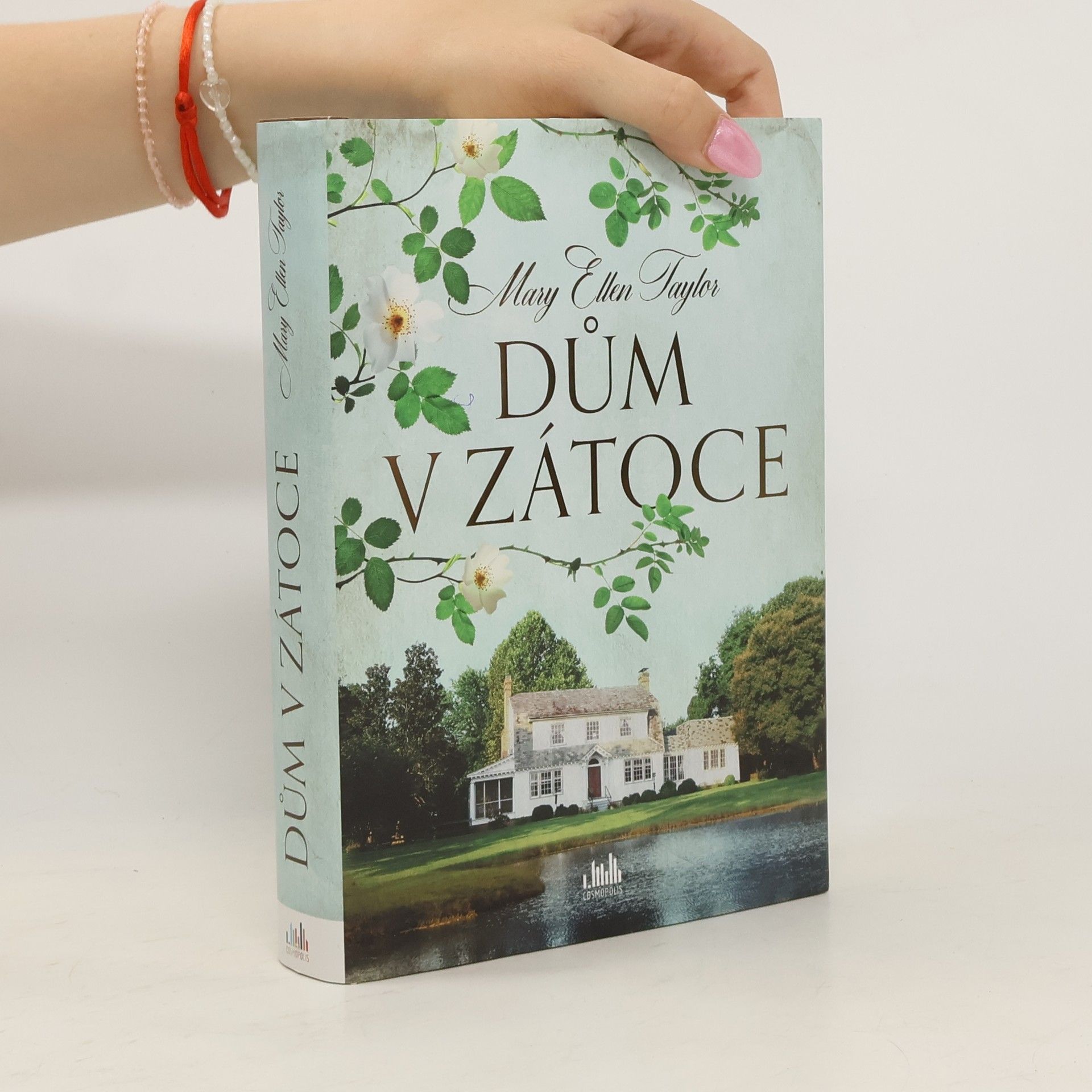 Mary Ellen Taylor Dům v zátoce