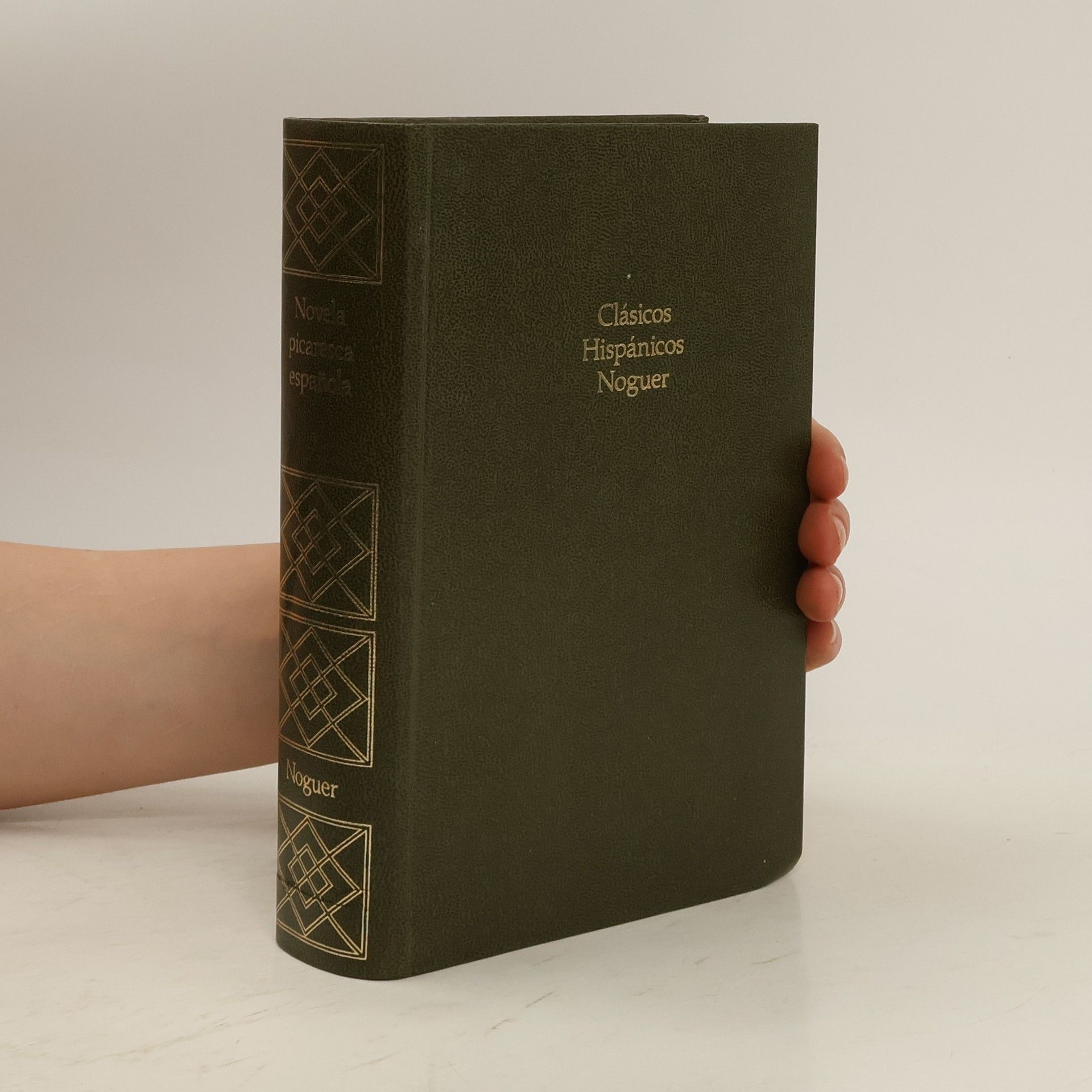 Collectif d'auteurs Novela picaresca española