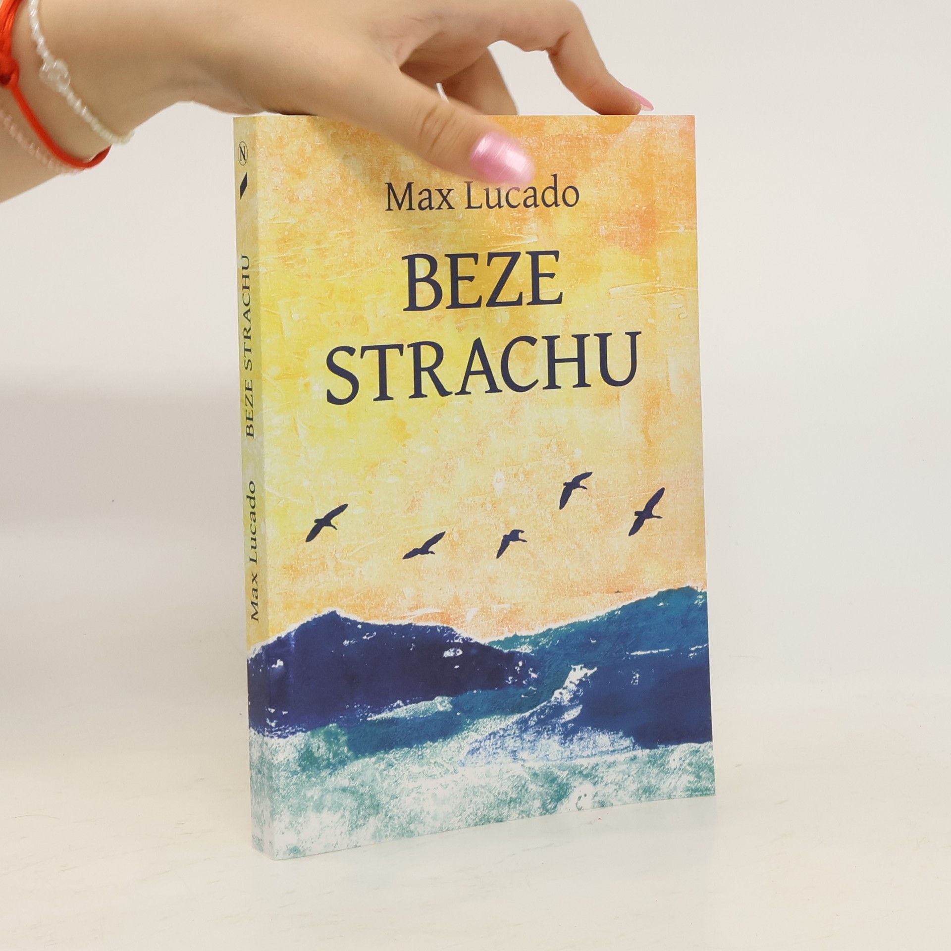 Max Lucado Beze strachu