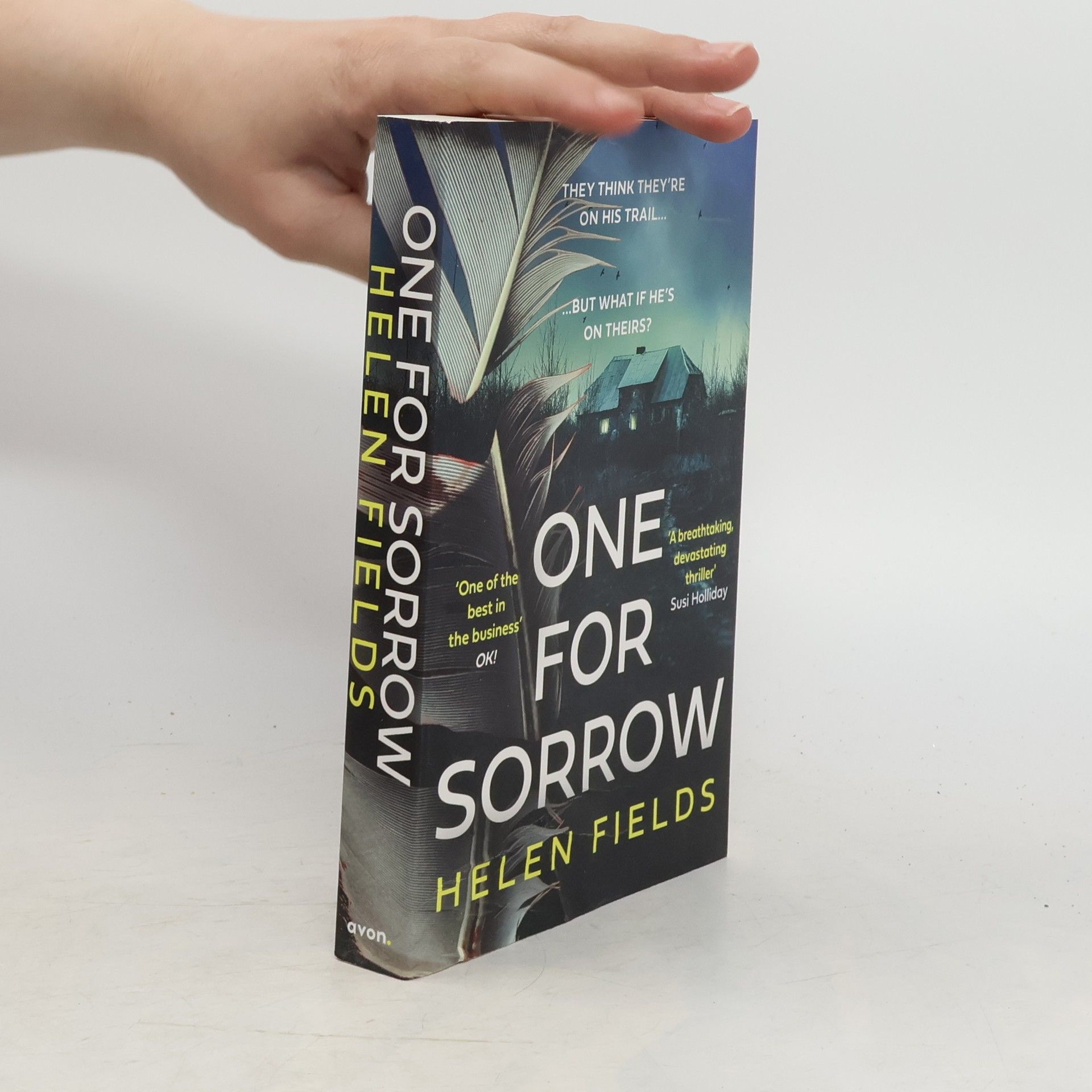 Helen Fields One for Sorrow