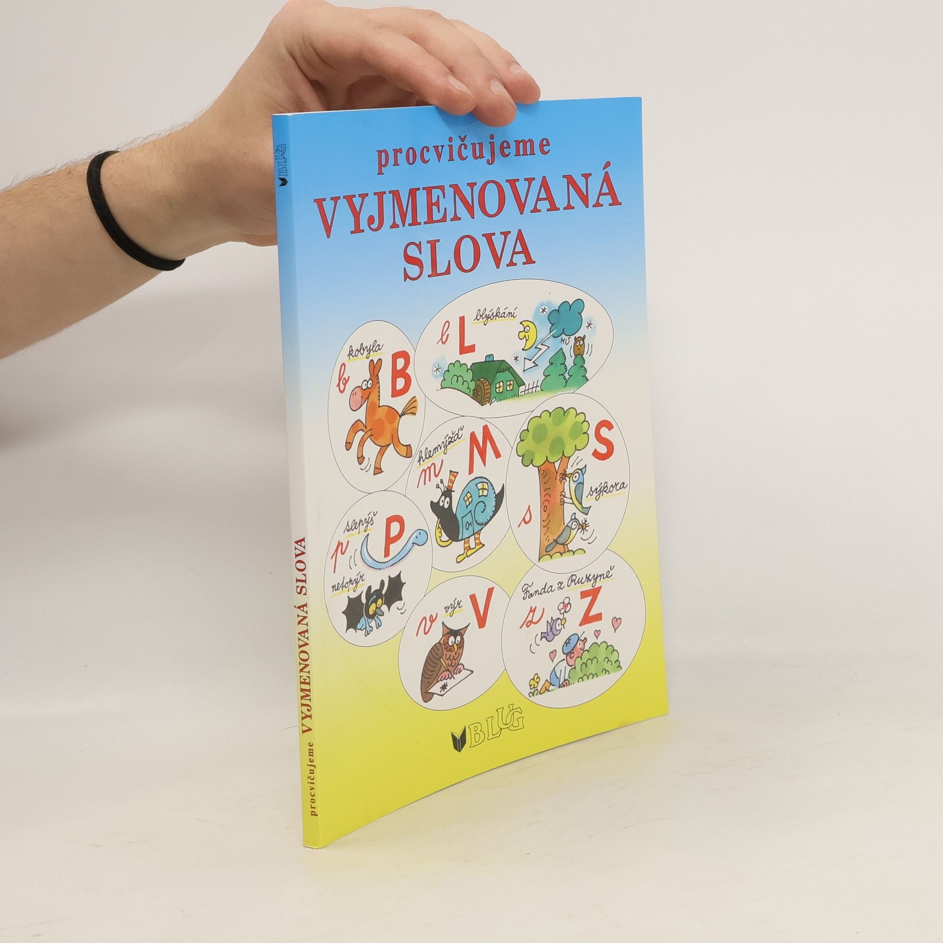 Vlasta Blumentrittová Procvičujeme vyjmenovaná slova - hrajeme si