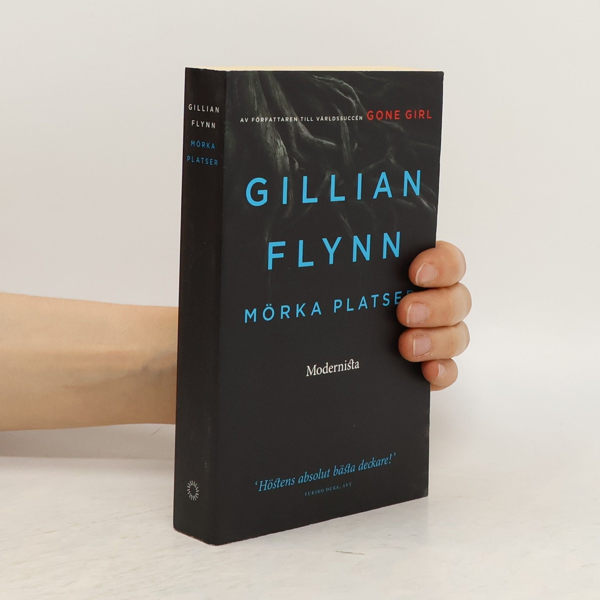 Gillian Flynn Mörka platser
