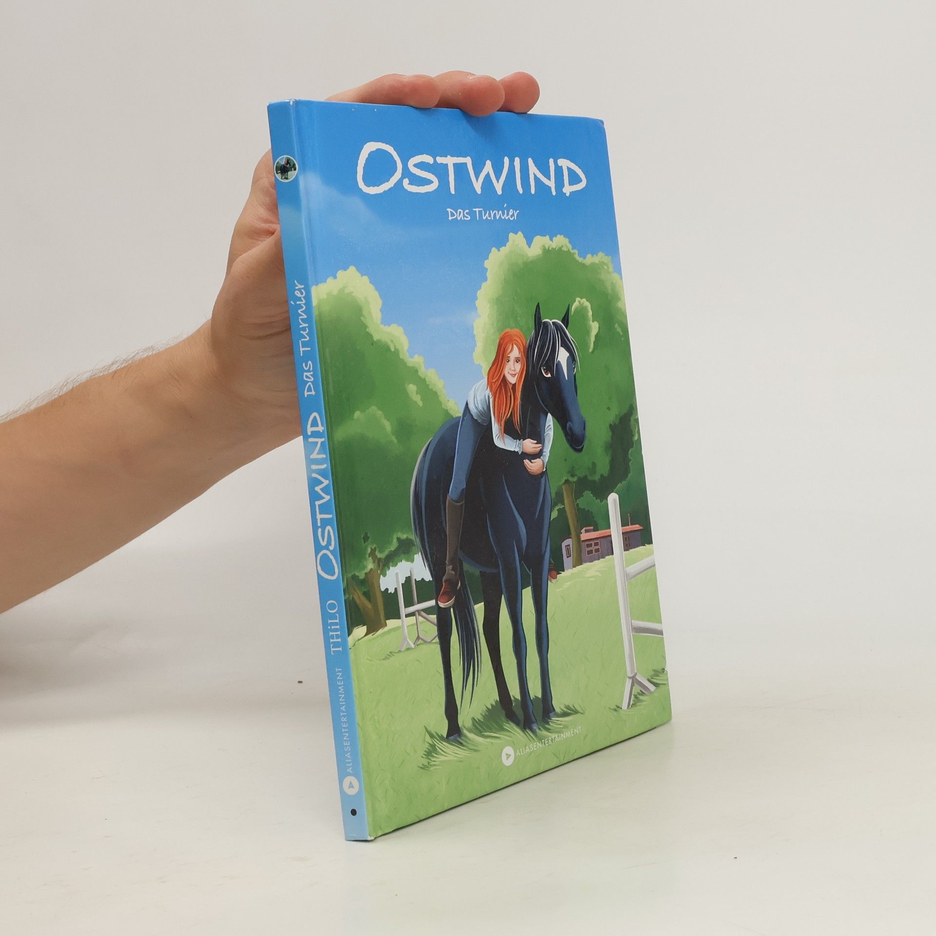 Thilo Petry-Lassak Ostwind - das Turnier