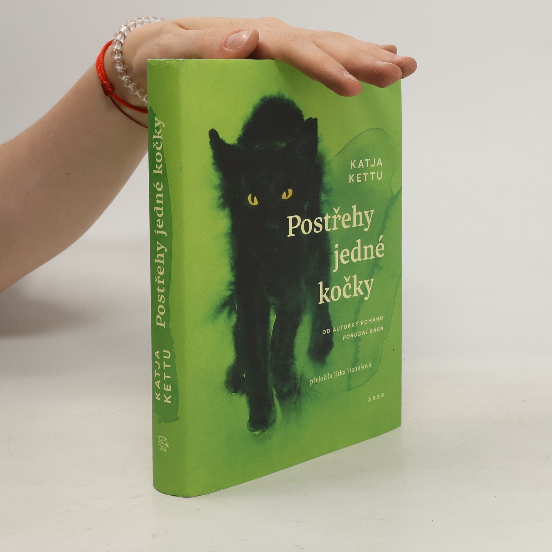 Katja Kettu Postřehy jedné kočky