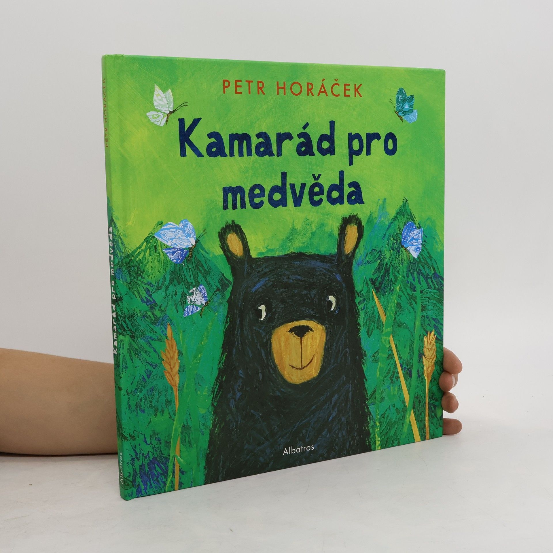 Petr Horáček Kamarád pro medvěda