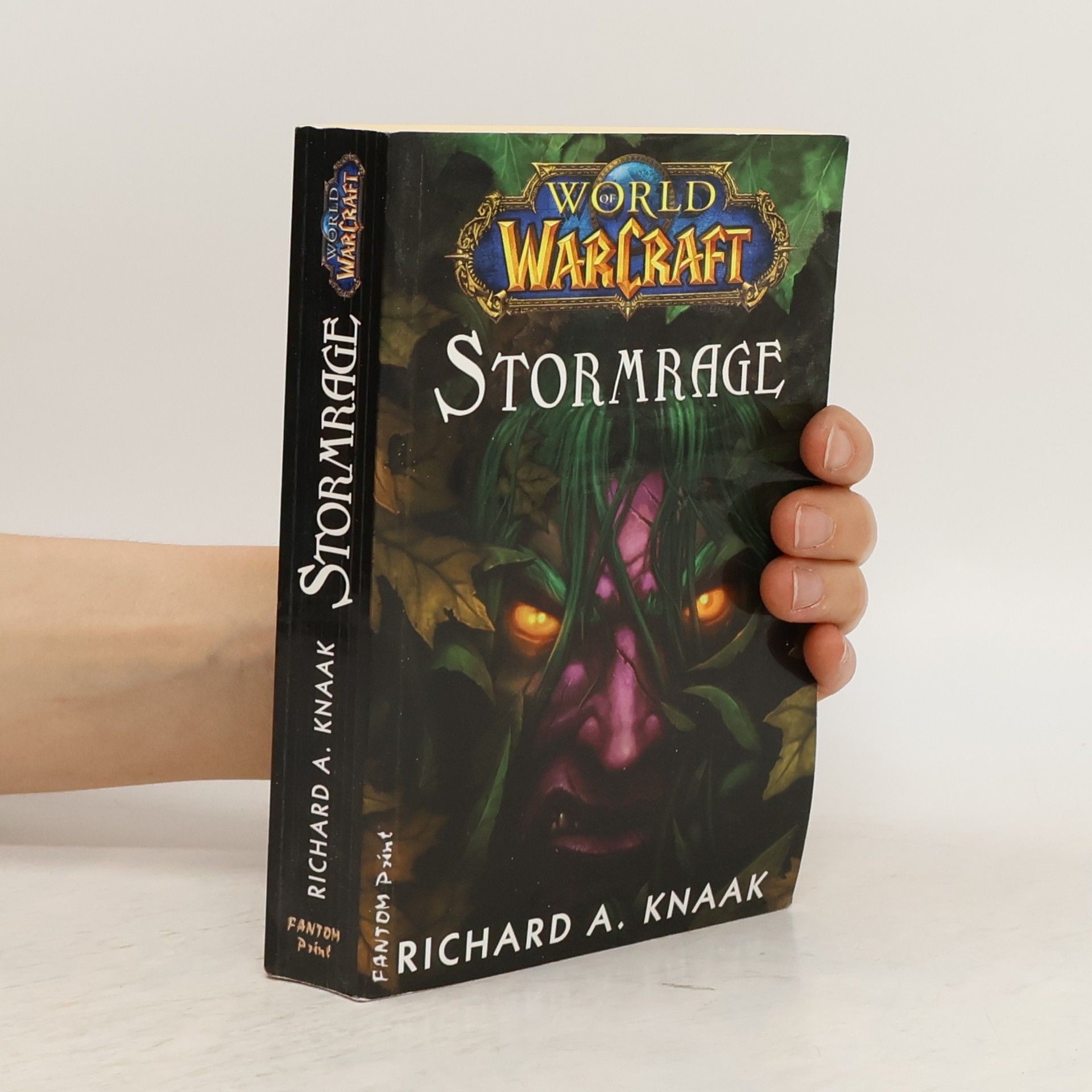 Richard A. Knaak Stormrage