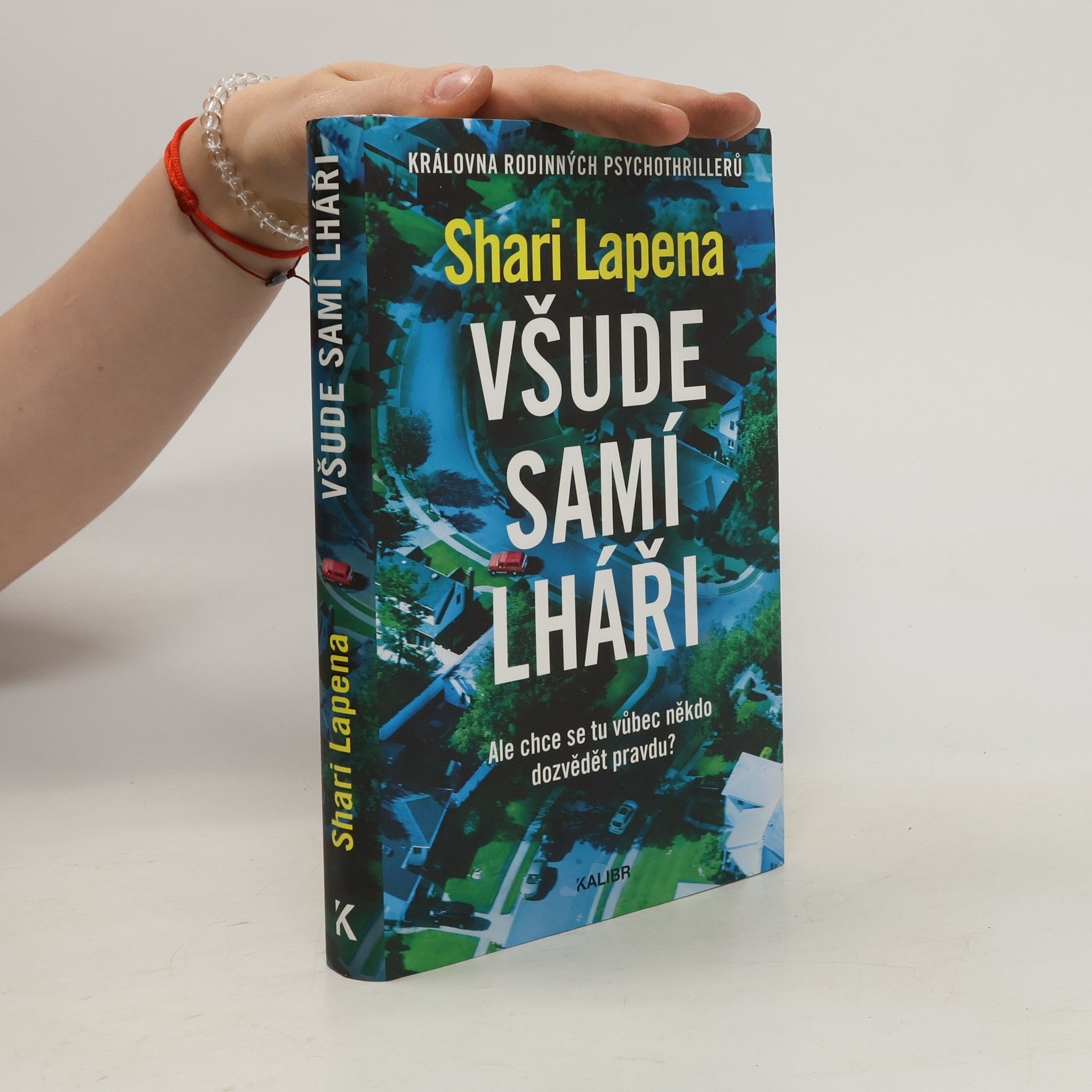 Shari Lapena Všude samí lháři