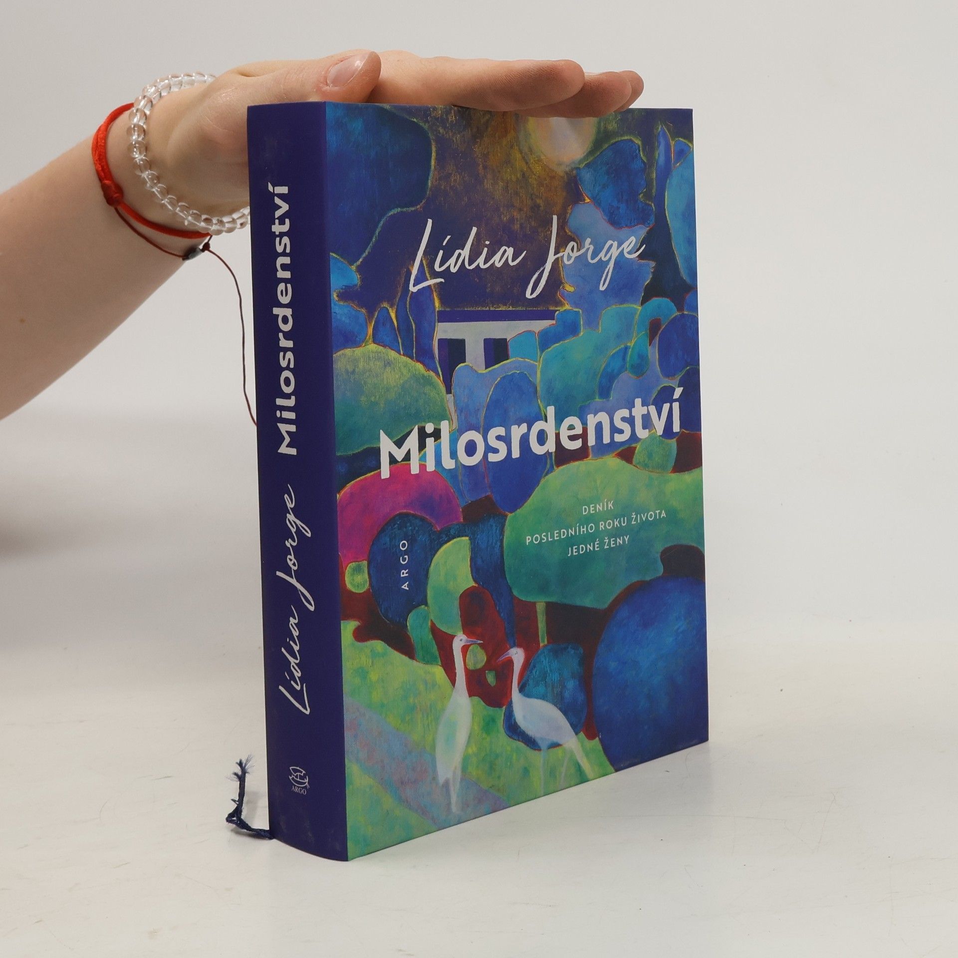 Lídia Jorge Milosrdenství
