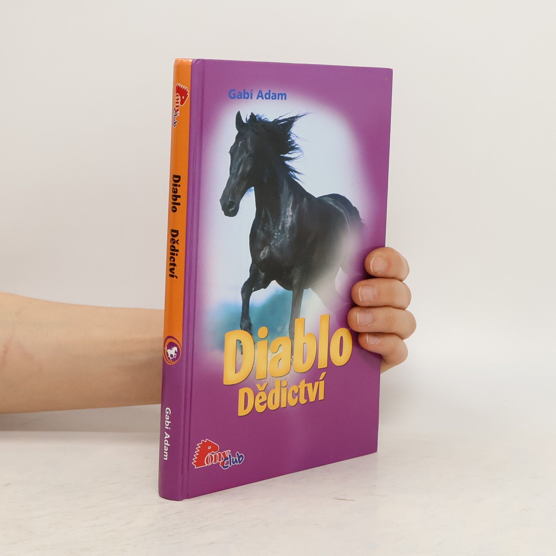 Gabi Adam Diablo. Dědictví