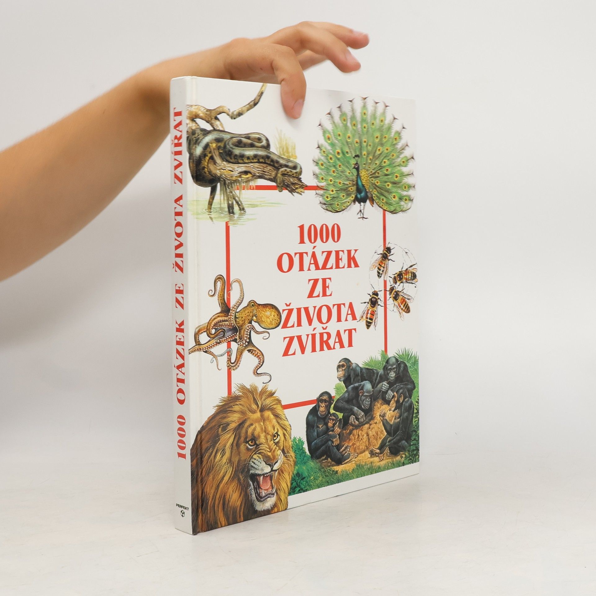 Autorenkollektiv 1000 otázek ze života zvířat