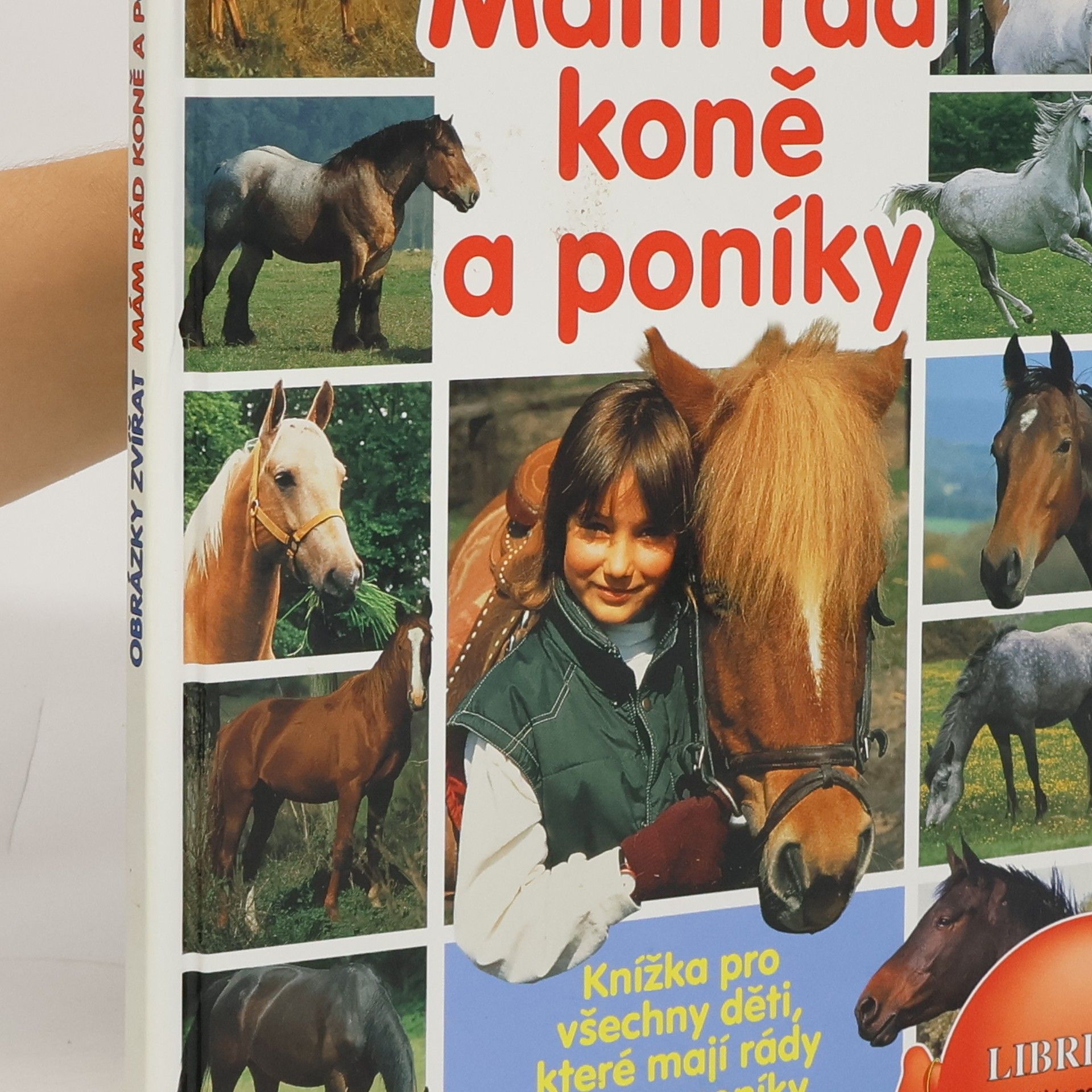 kolektiv Mám rád koně a poníky