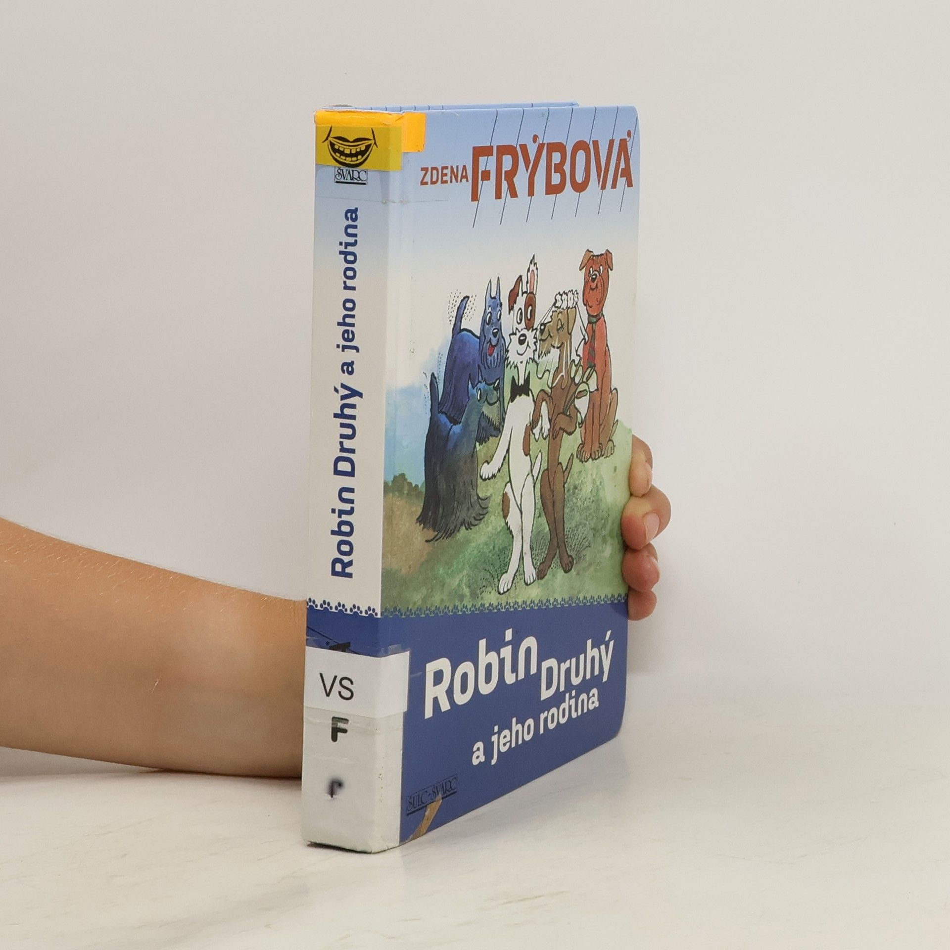 Zdena Frýbová Robin druhý a jeho rodina