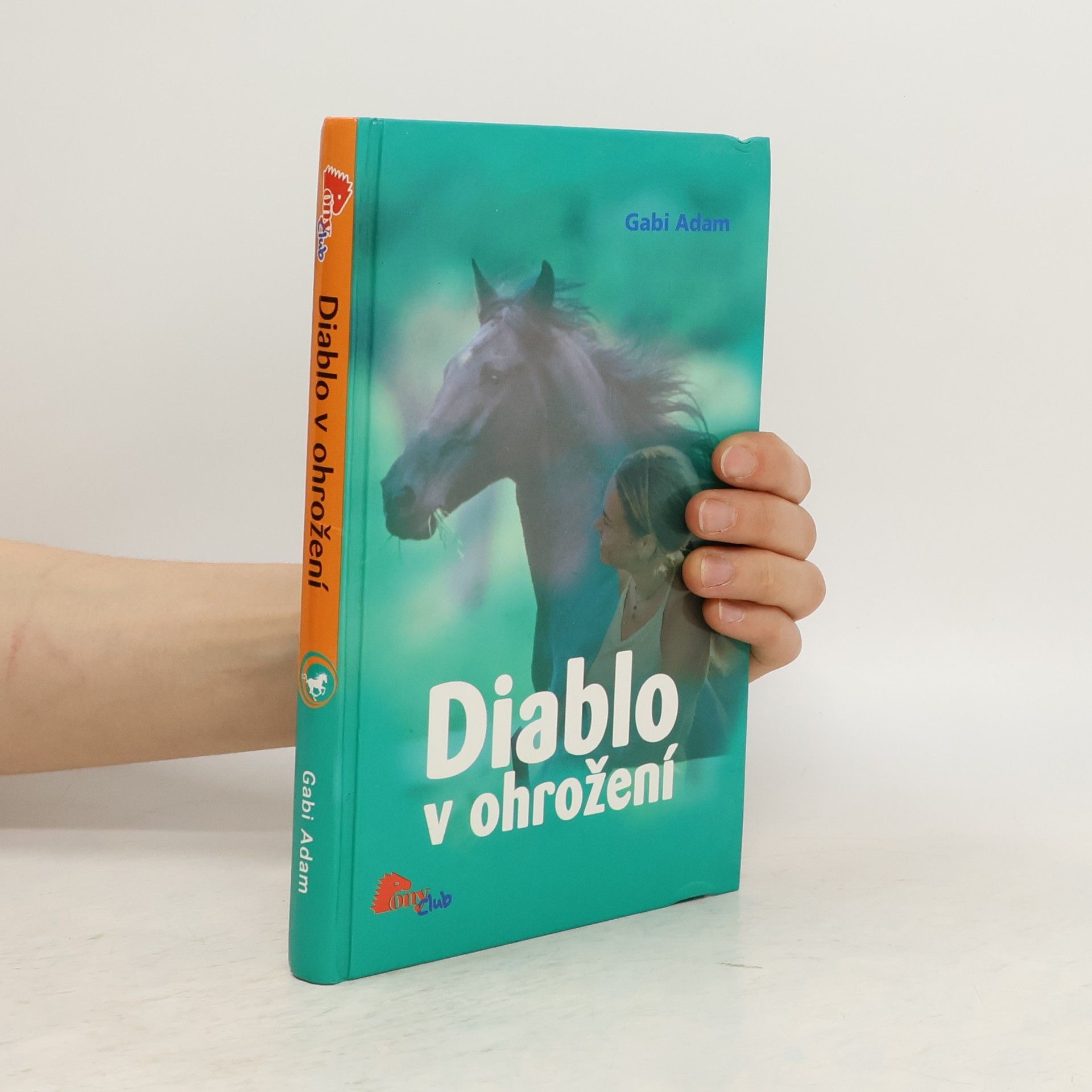 Gabi Adam Diablo v ohrožení. Diablo 2