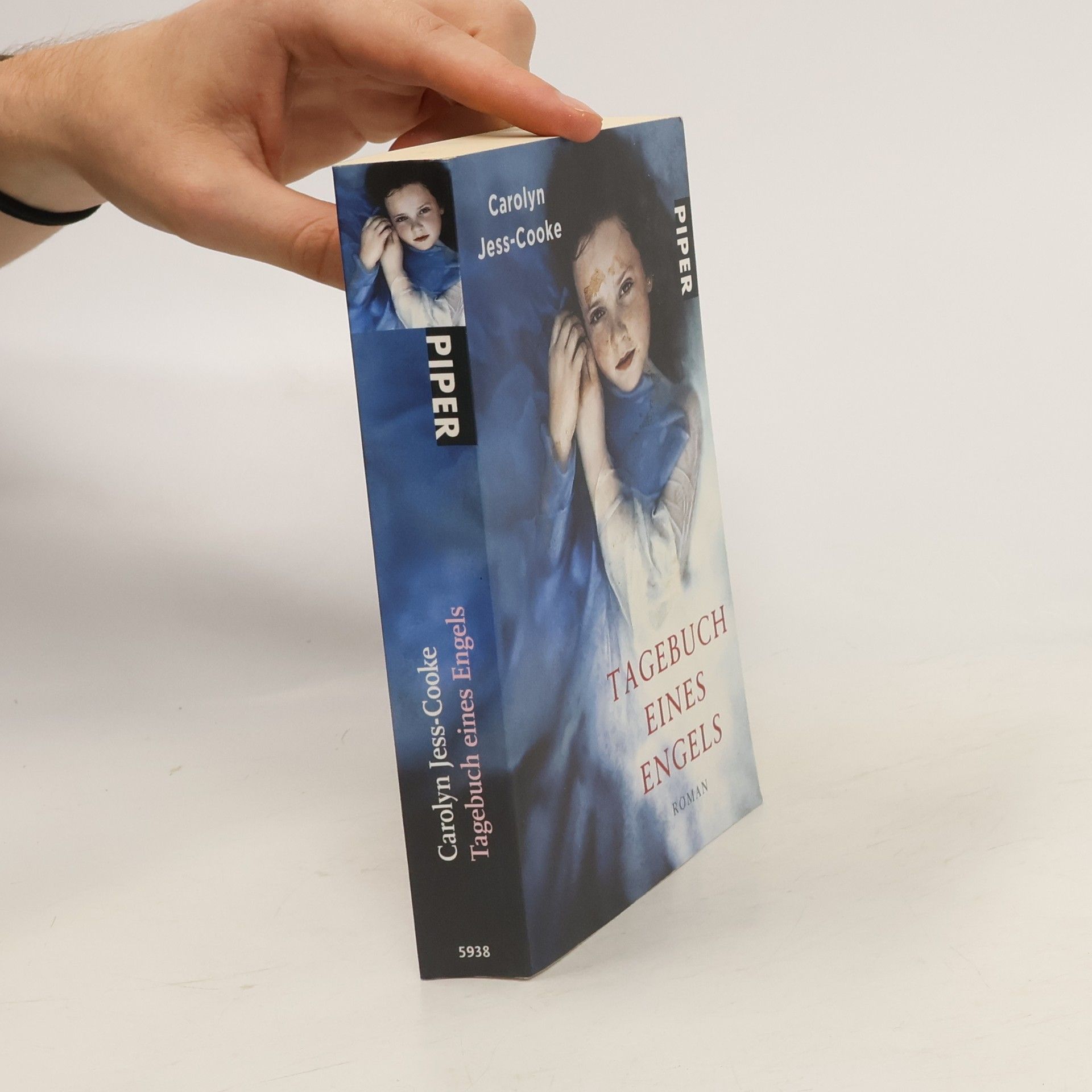 Carolyn Jess Cooke Tagebuch eines Engels (Deník anděla)