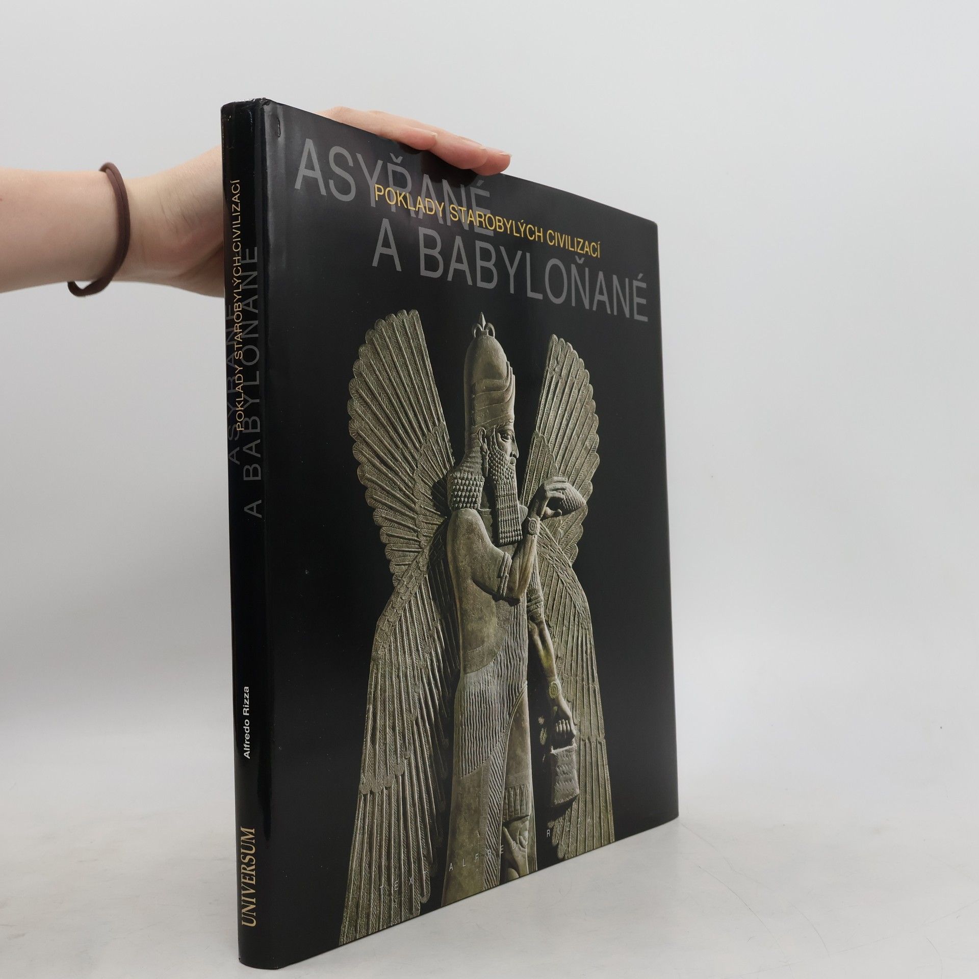 Alfredo Rizza Asyřané a Babyloňané - Poklady starobylých civilizací