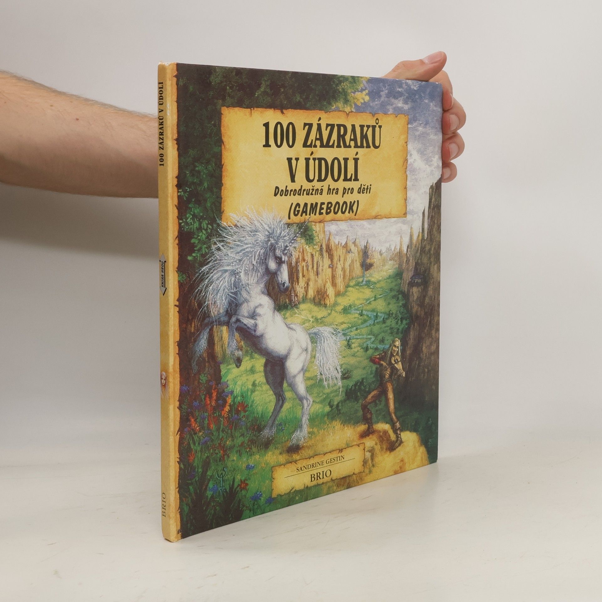 Sandrine Gestin 100 zázraků v údolí