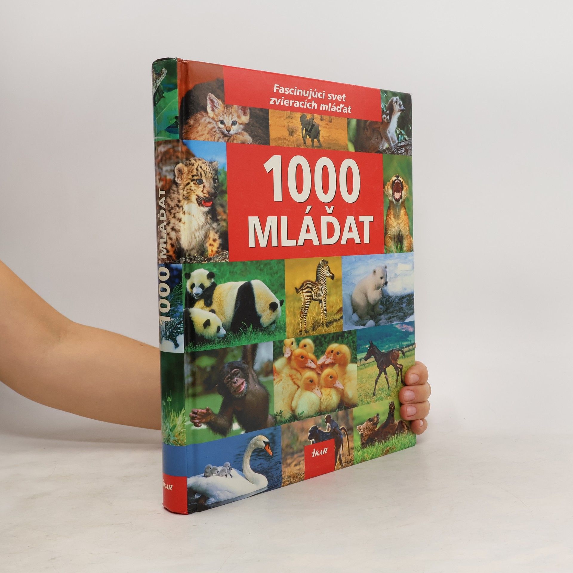 Ulrike Schöber 1000 mláďat