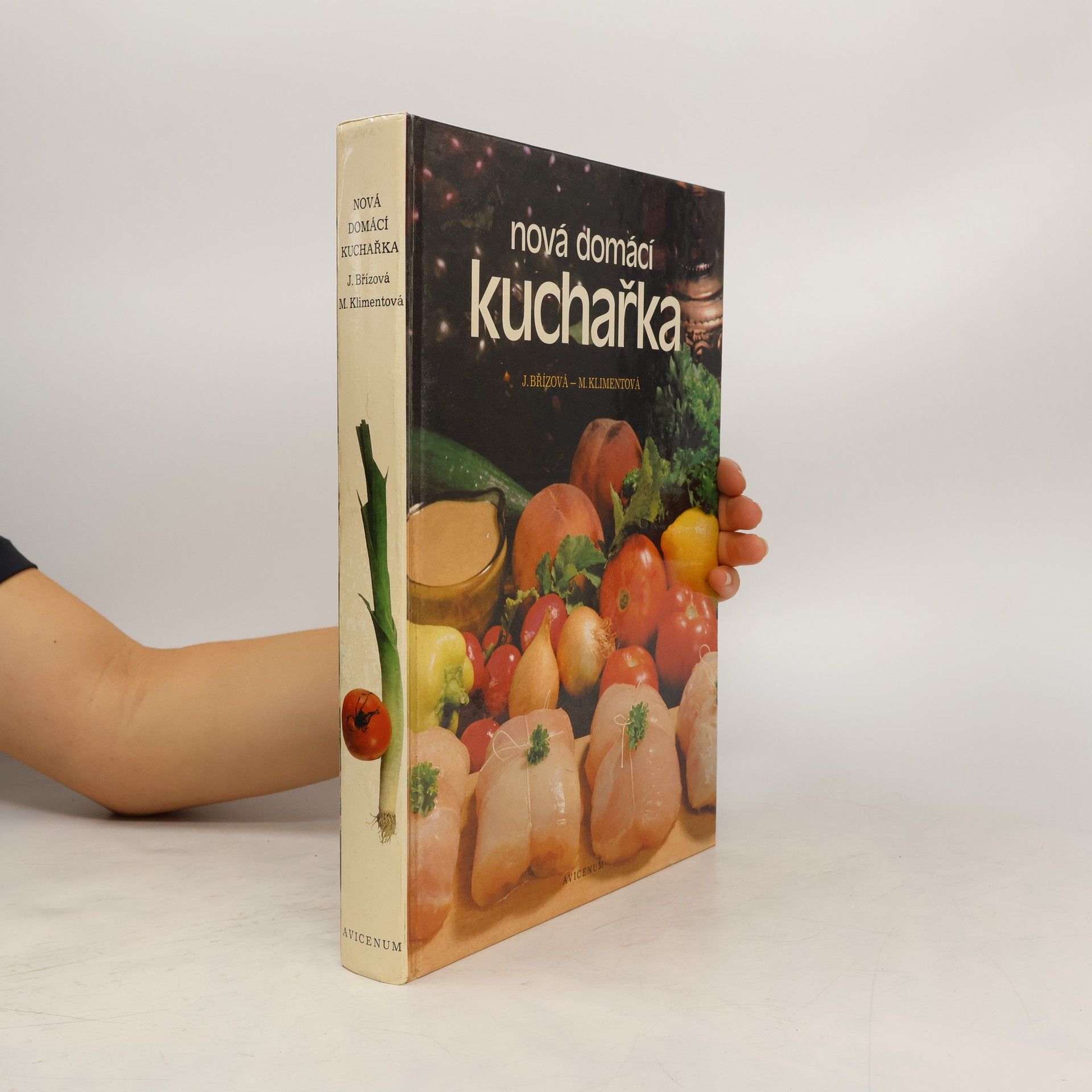 Kolektiv autorů Nová domácí kuchařka